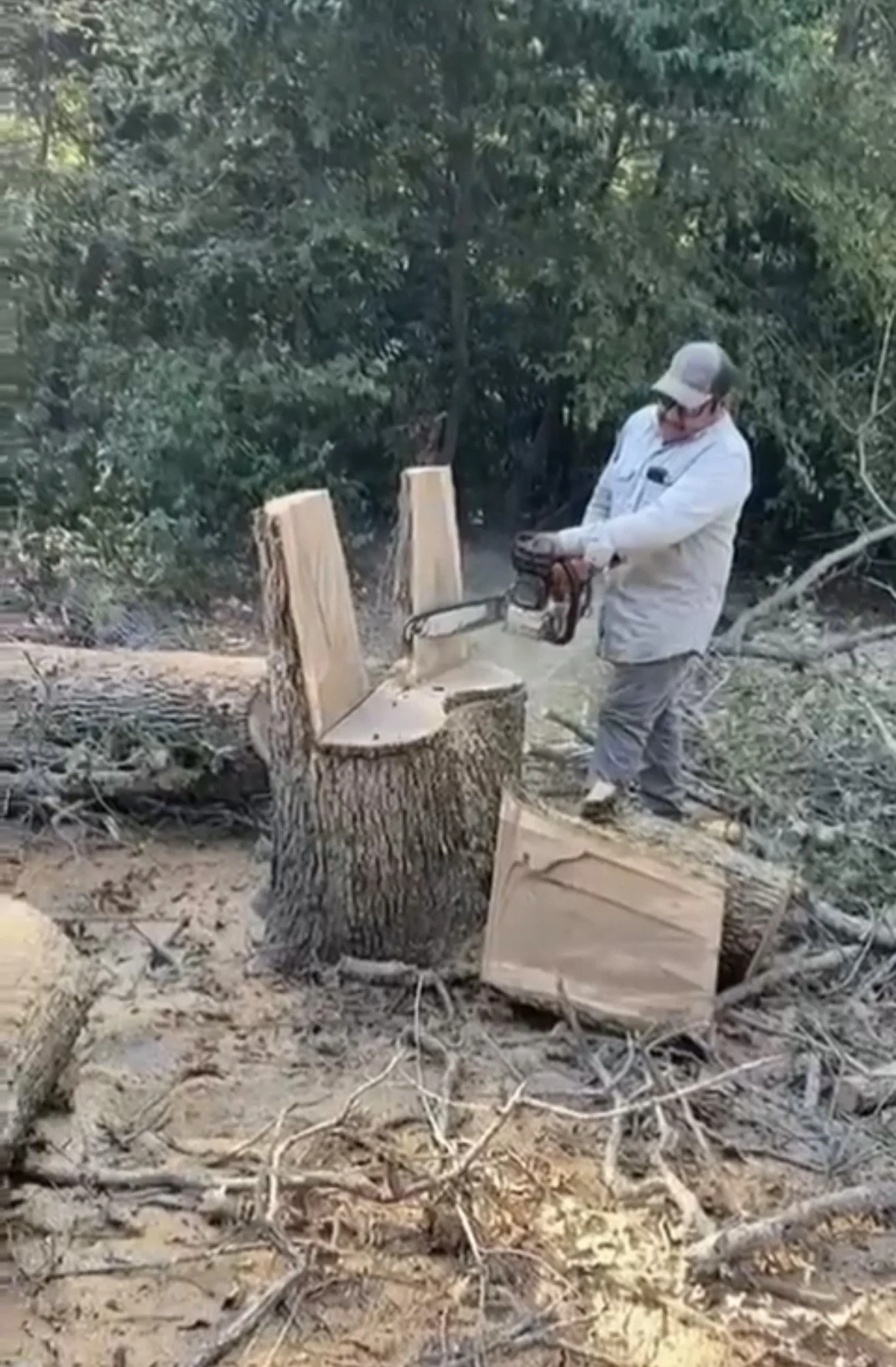 A person wearing a cap and glasses using a chainsaw to cut through a large tree trunk outdoors, surrounded by fallen branches and green bushes.