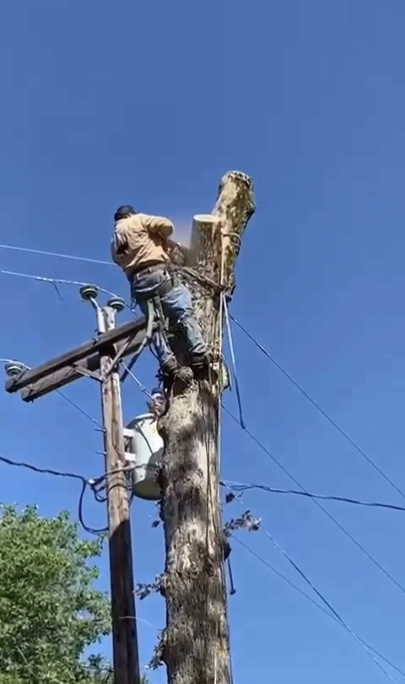 A utility worker climbing an electric utility pole to work on power lines, using safety gear and equipment.