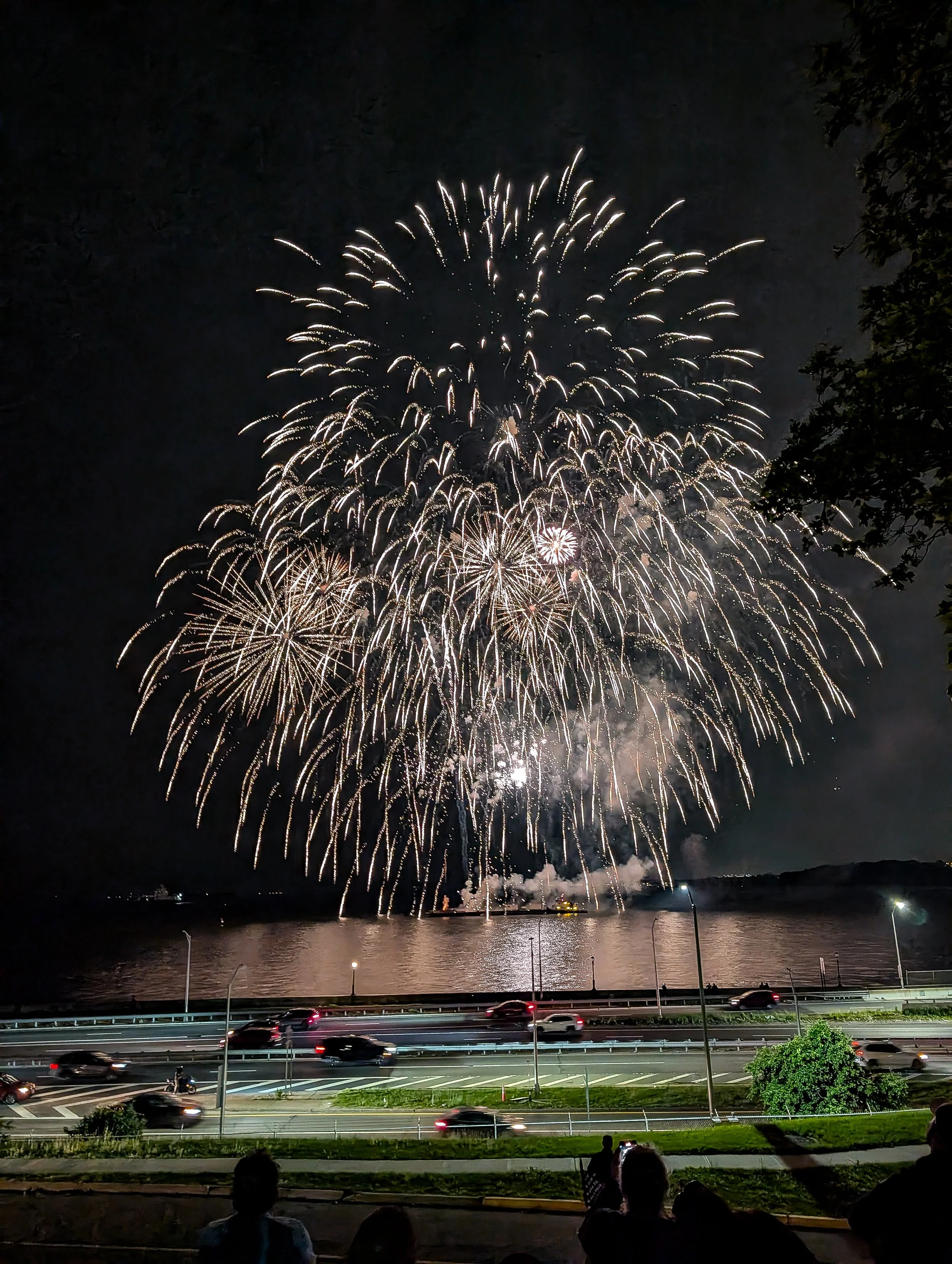Fireworks display over water, with people watching from a park and cars on a highway in the foreground at night.