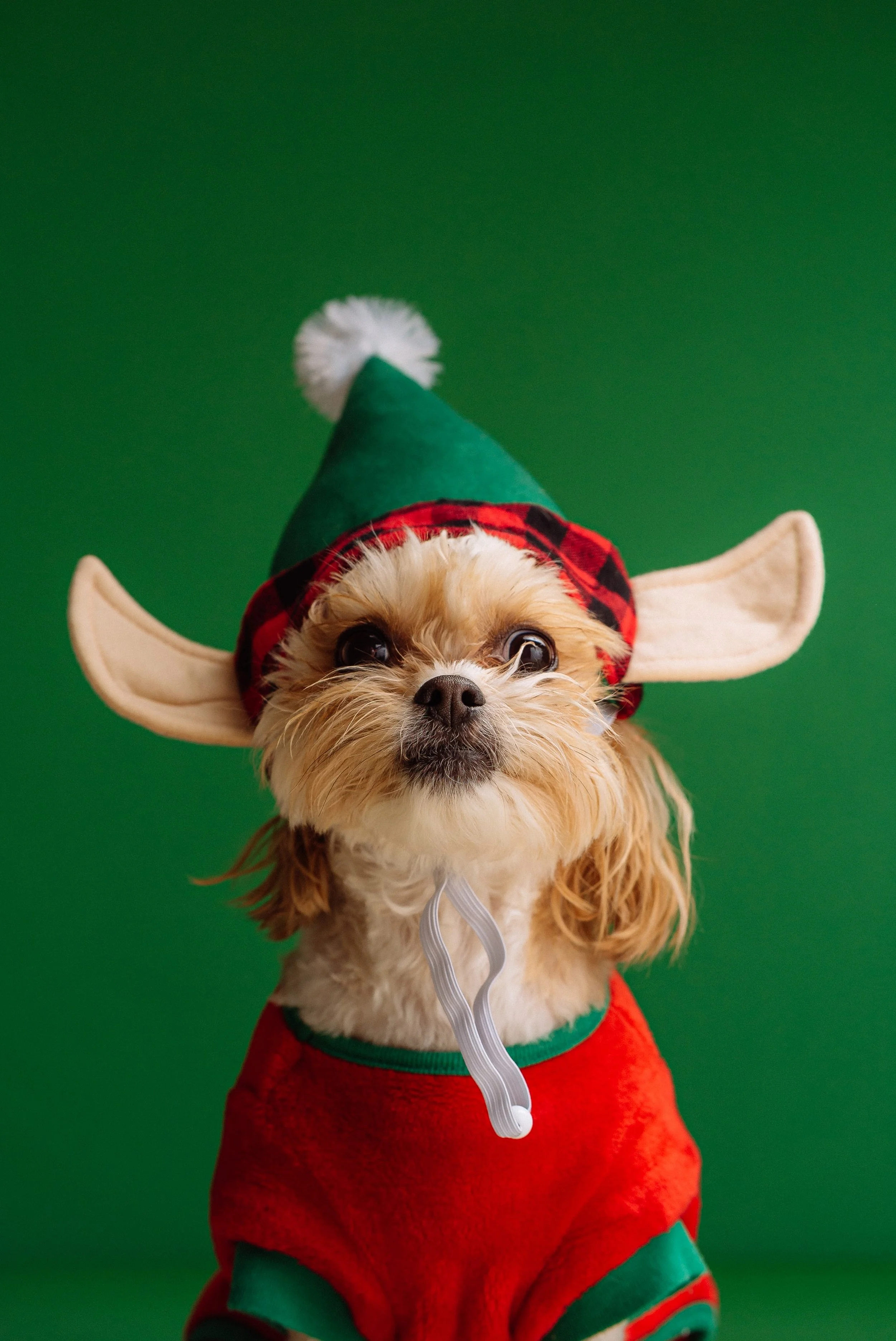 We’re making a list, we’re checking it twice…