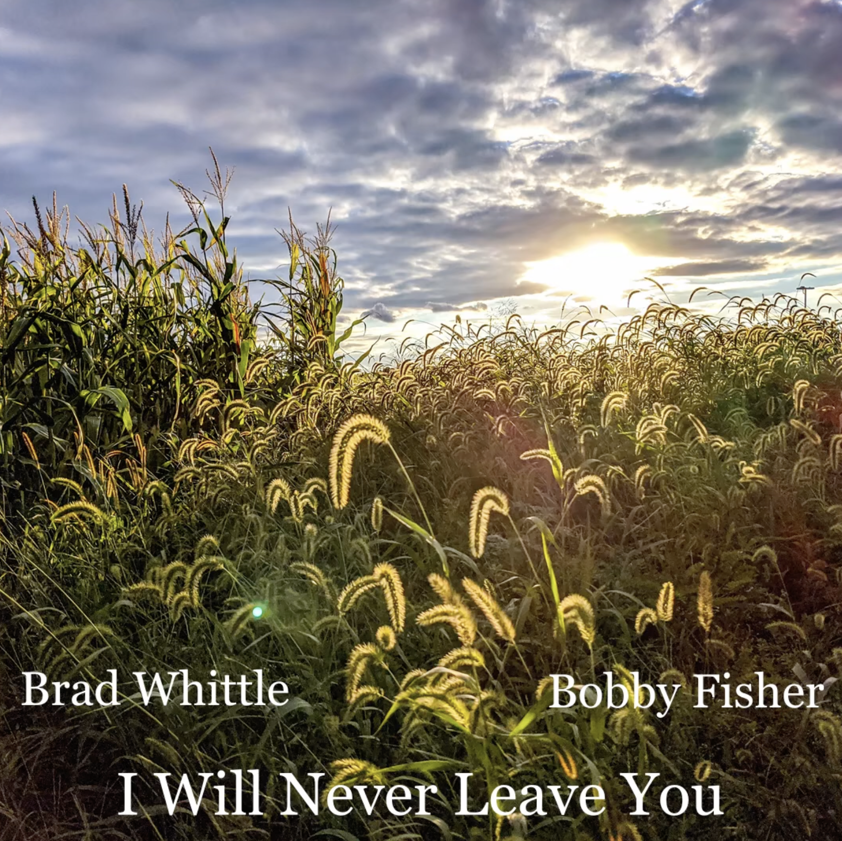 I Will Never Leave You
