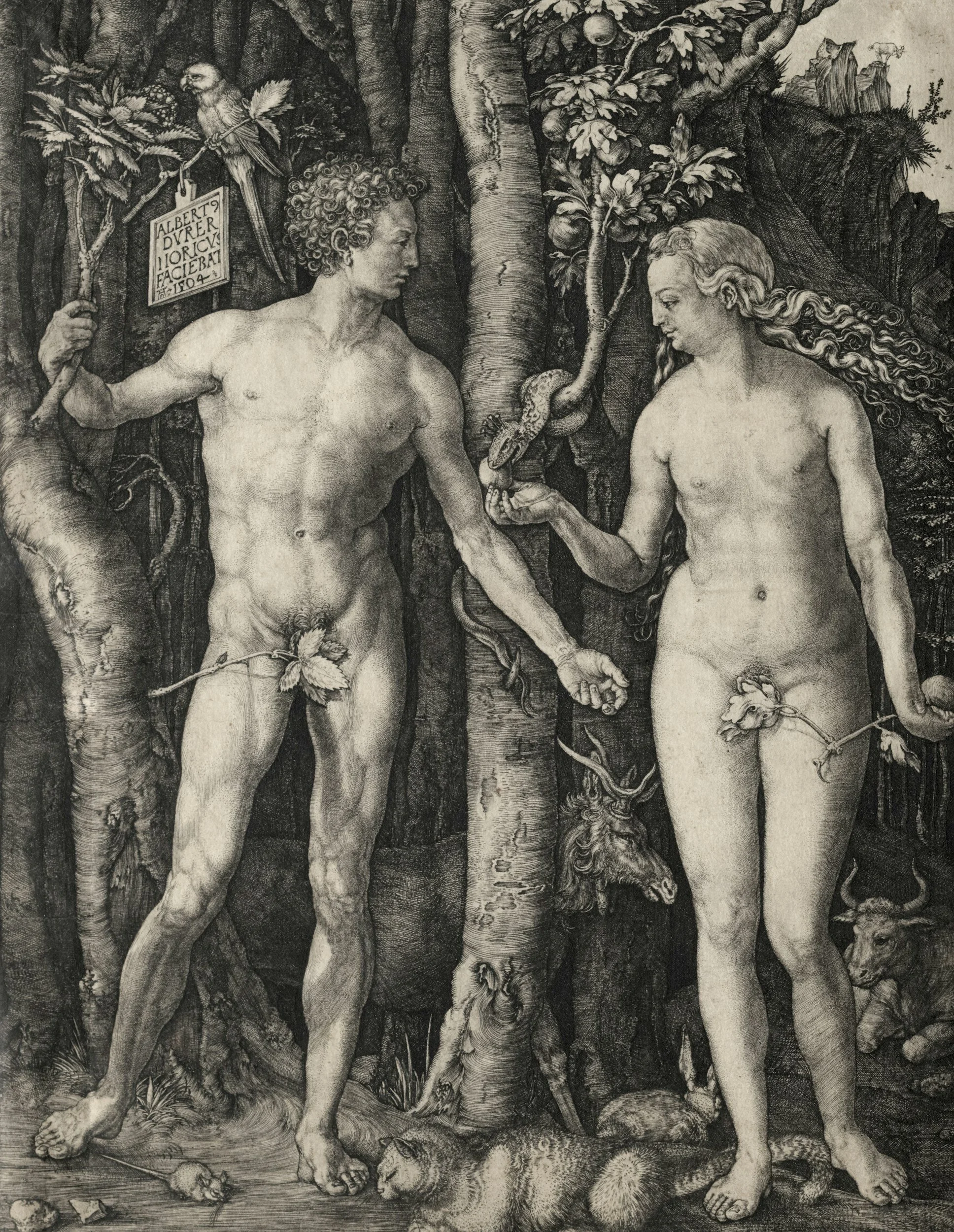 Creation, Covenant, and Divine Pedagogy