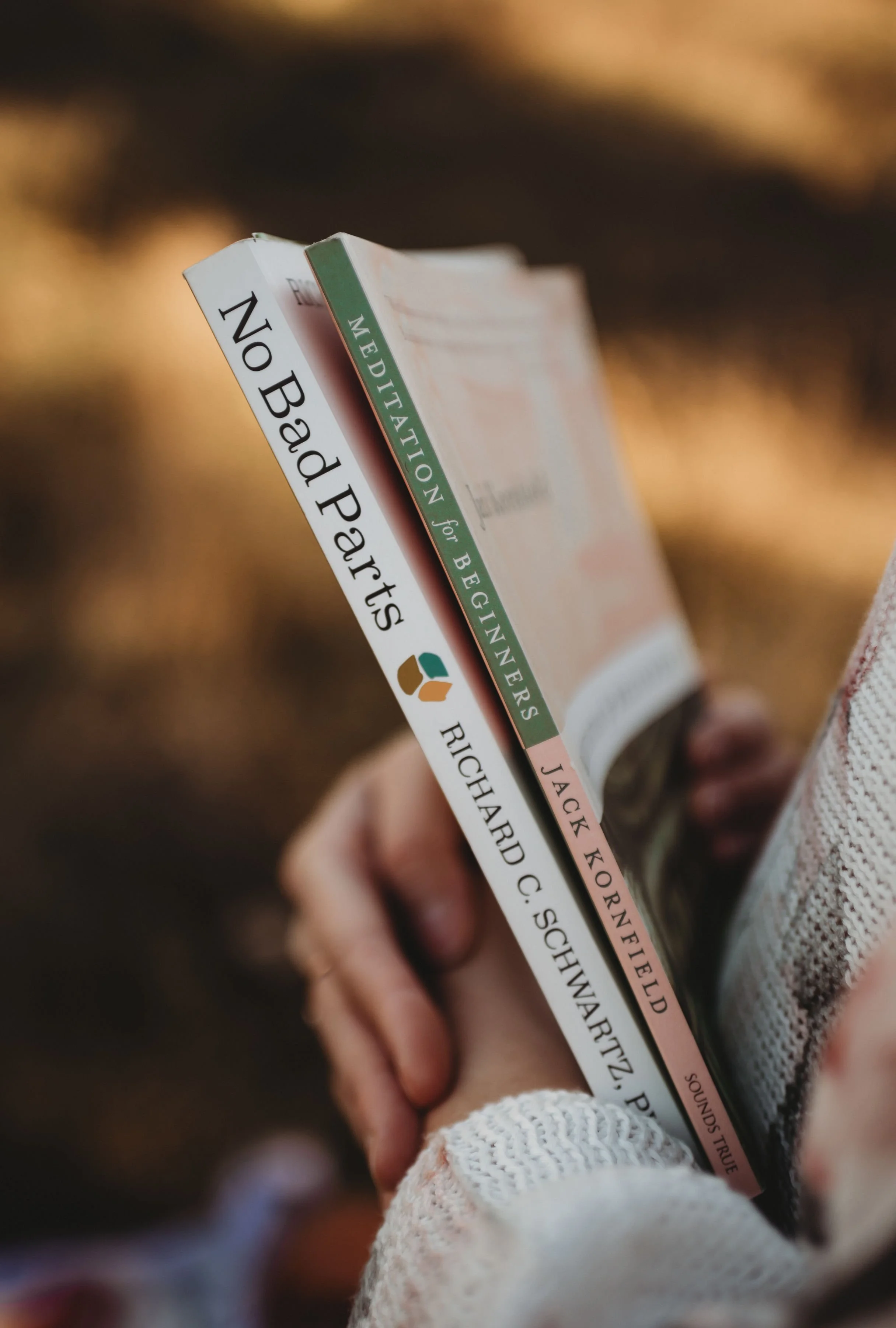Close-up of a hand holding two books titled 'No Bad Parts' by Richard C. Schwartz and 'Meditation for Beginners' by Jack Kornfeld, with a blurred warm-toned background.