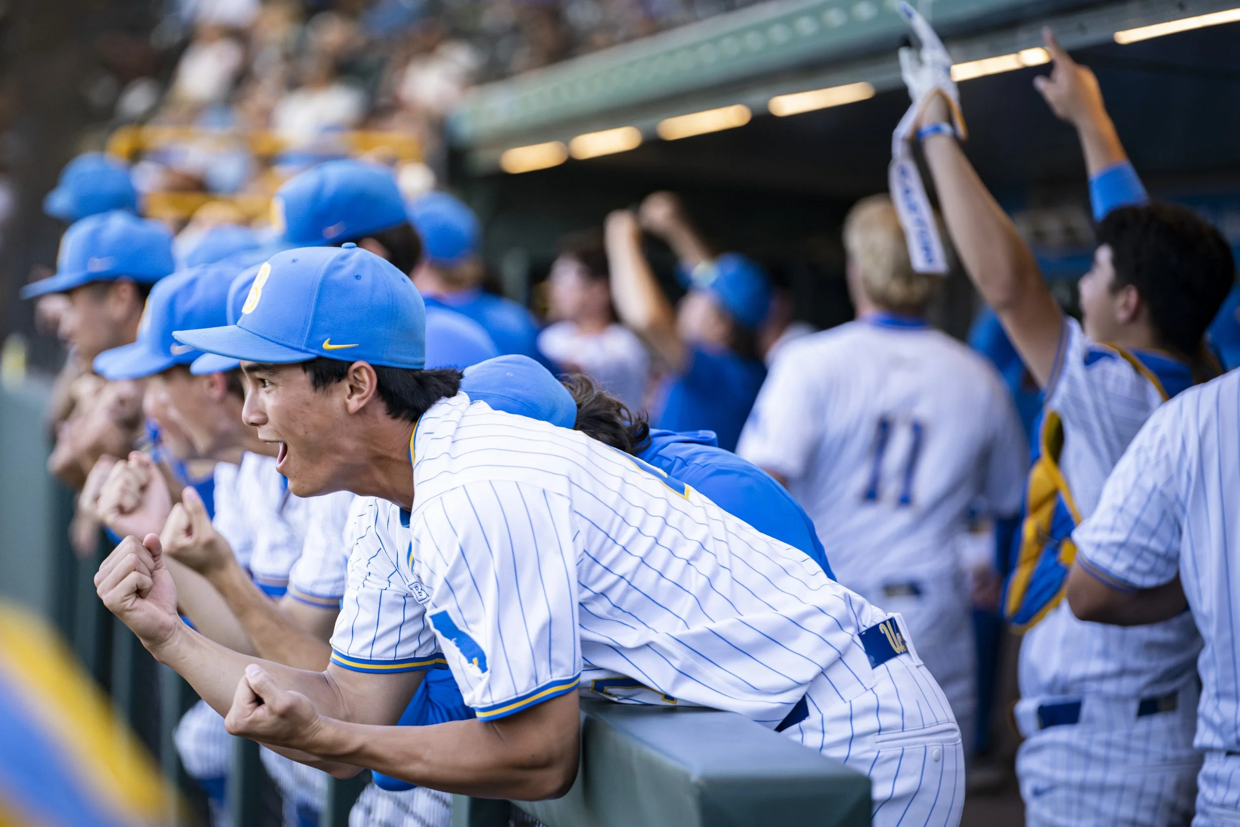 Baseball players in blue uniforms with yellow accents, wearing blue caps, are kneeling and praying at a baseball game.