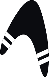 Boomerang Bins