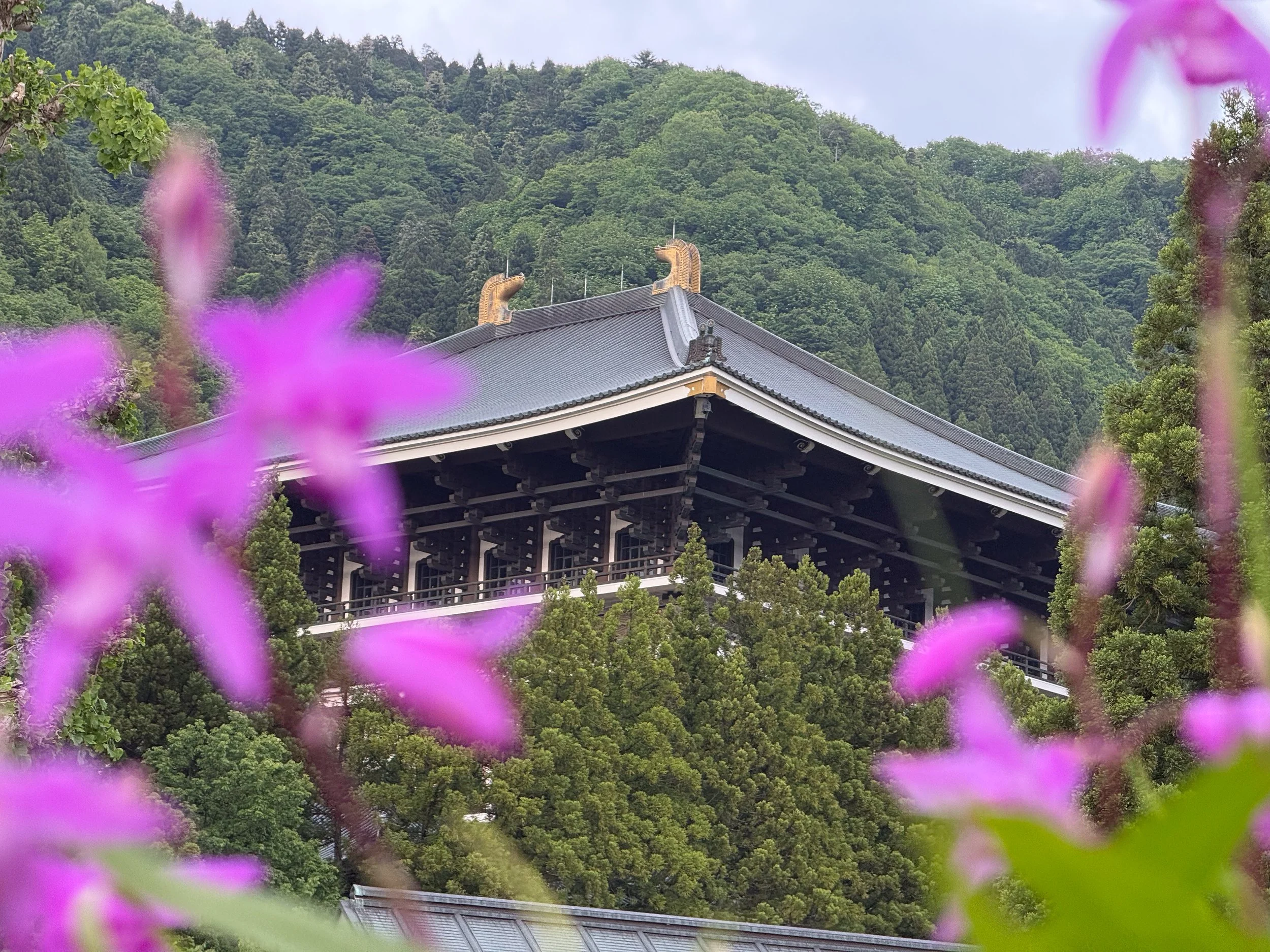 Echizen Daibutsu, Gifu, Japan