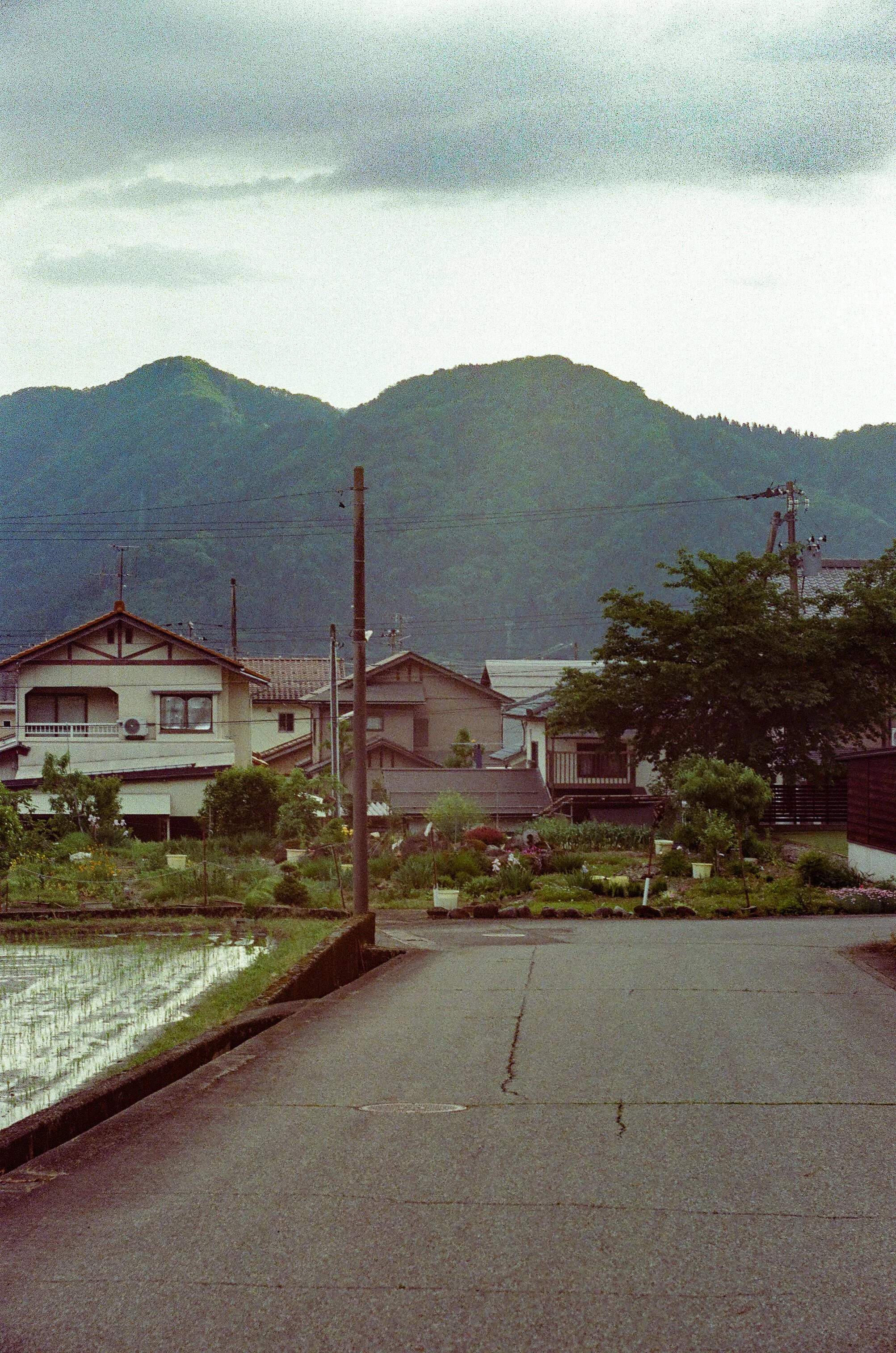 000077430021_17.jpg