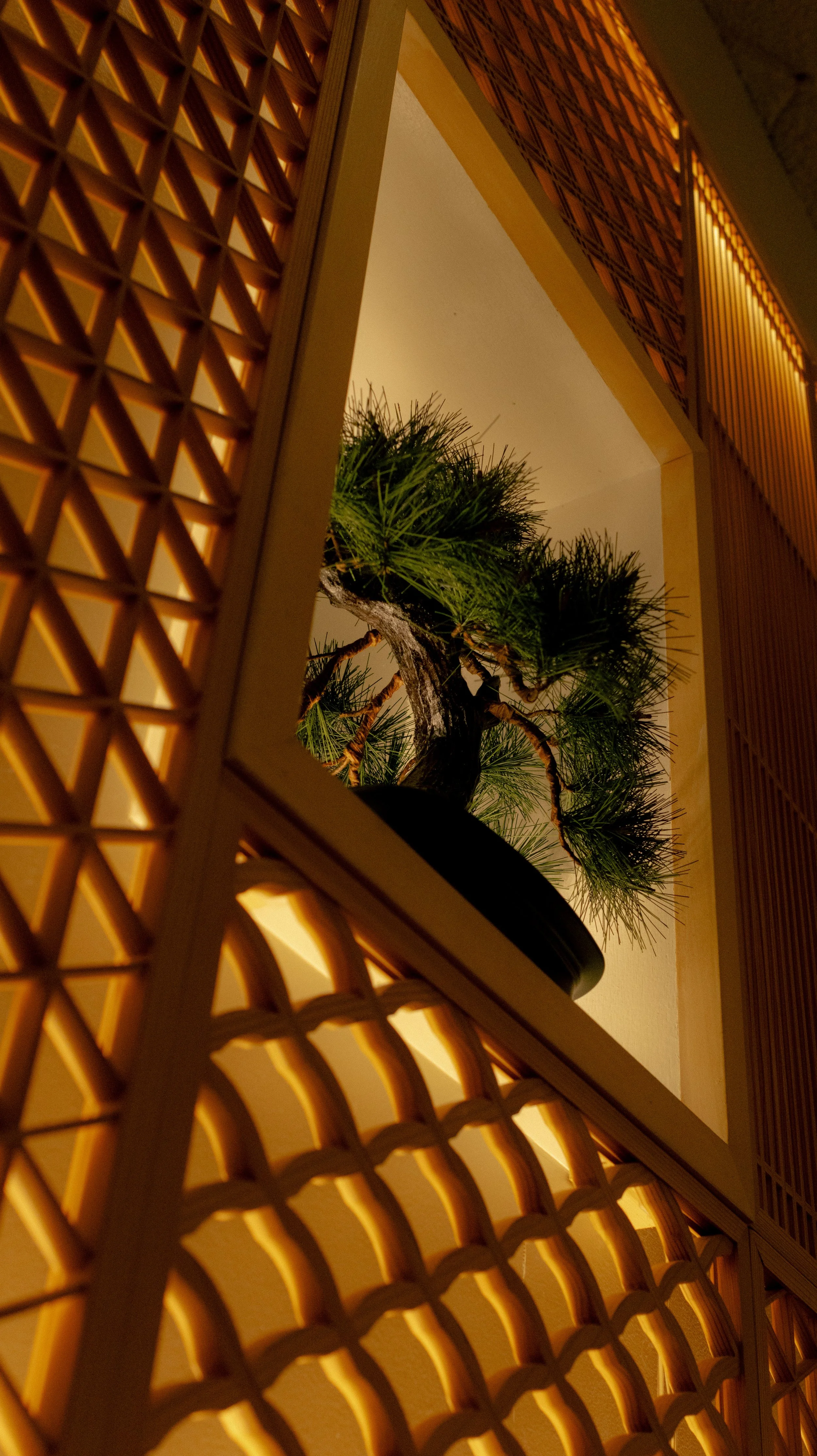 Website Resize 3.jpg