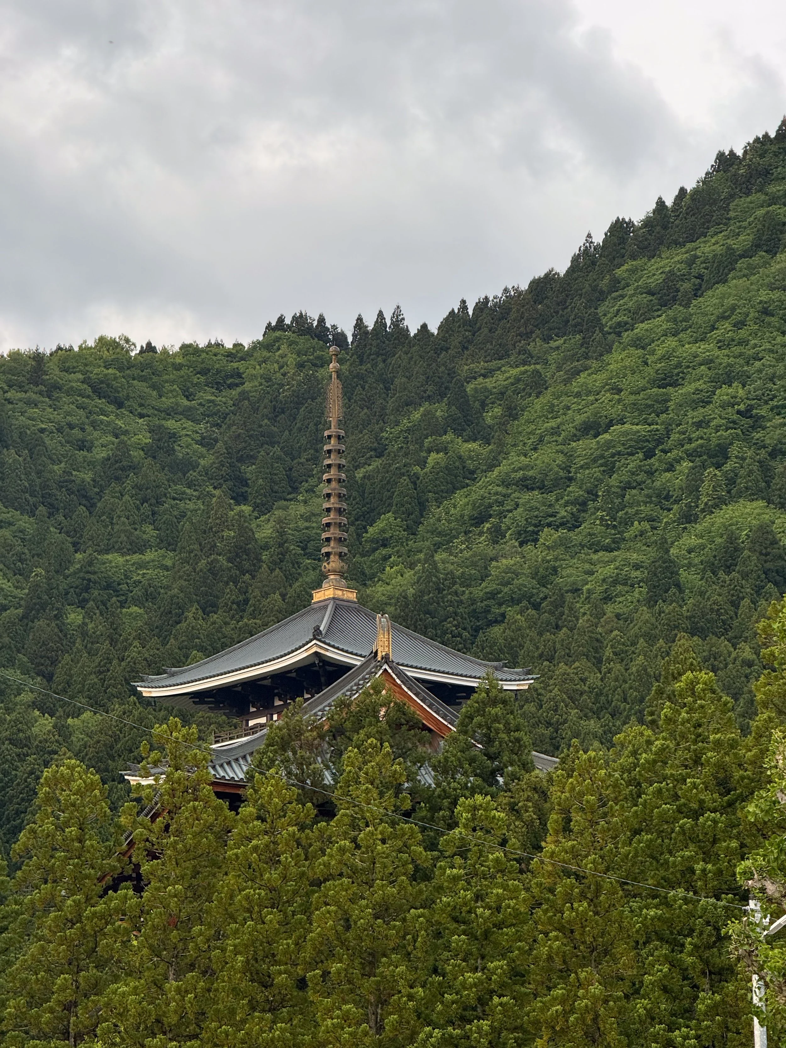 Echizen Daibutsu, Gifu, Japan