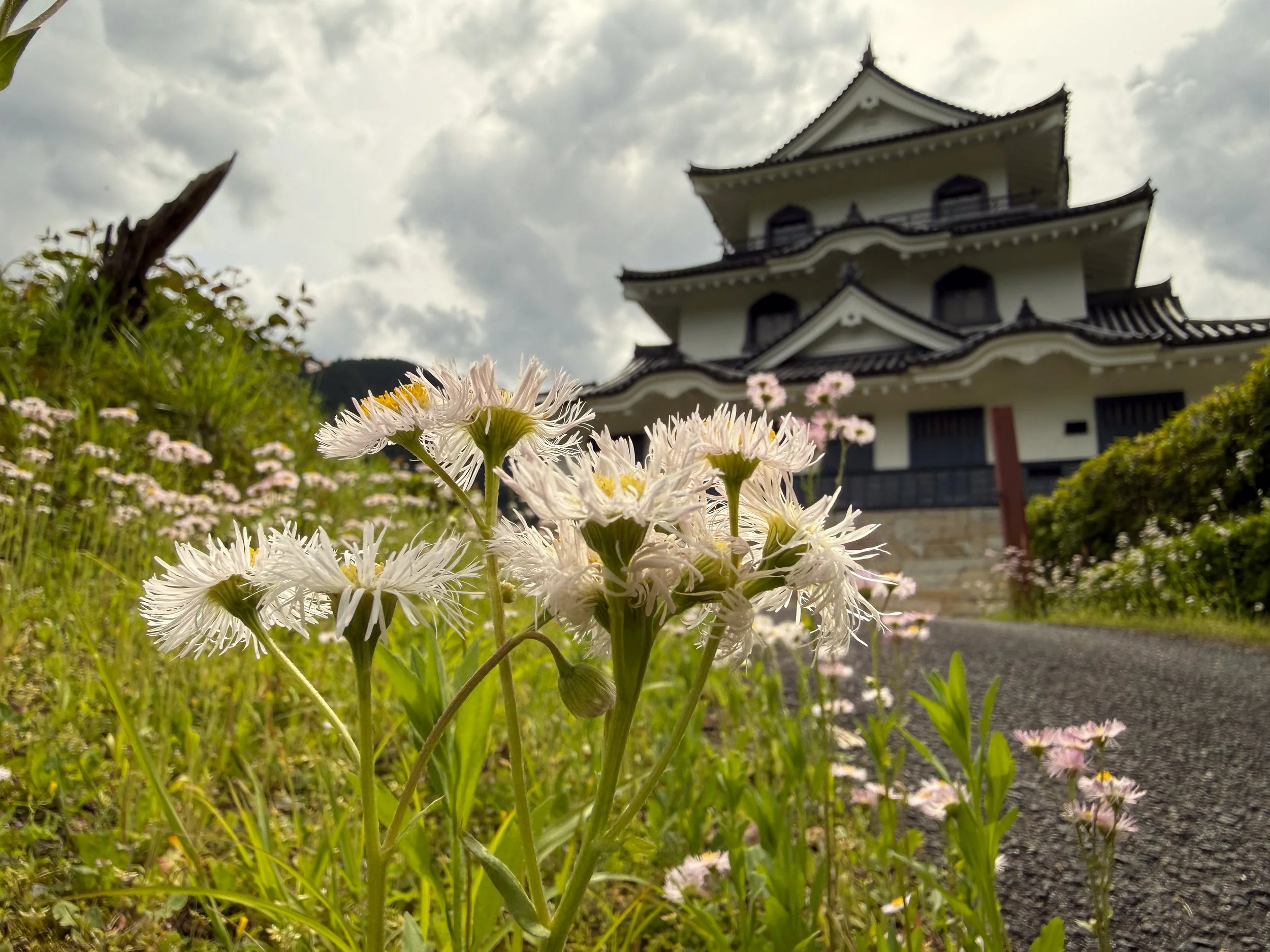 Fujihashi Castle, Gifu, Japan