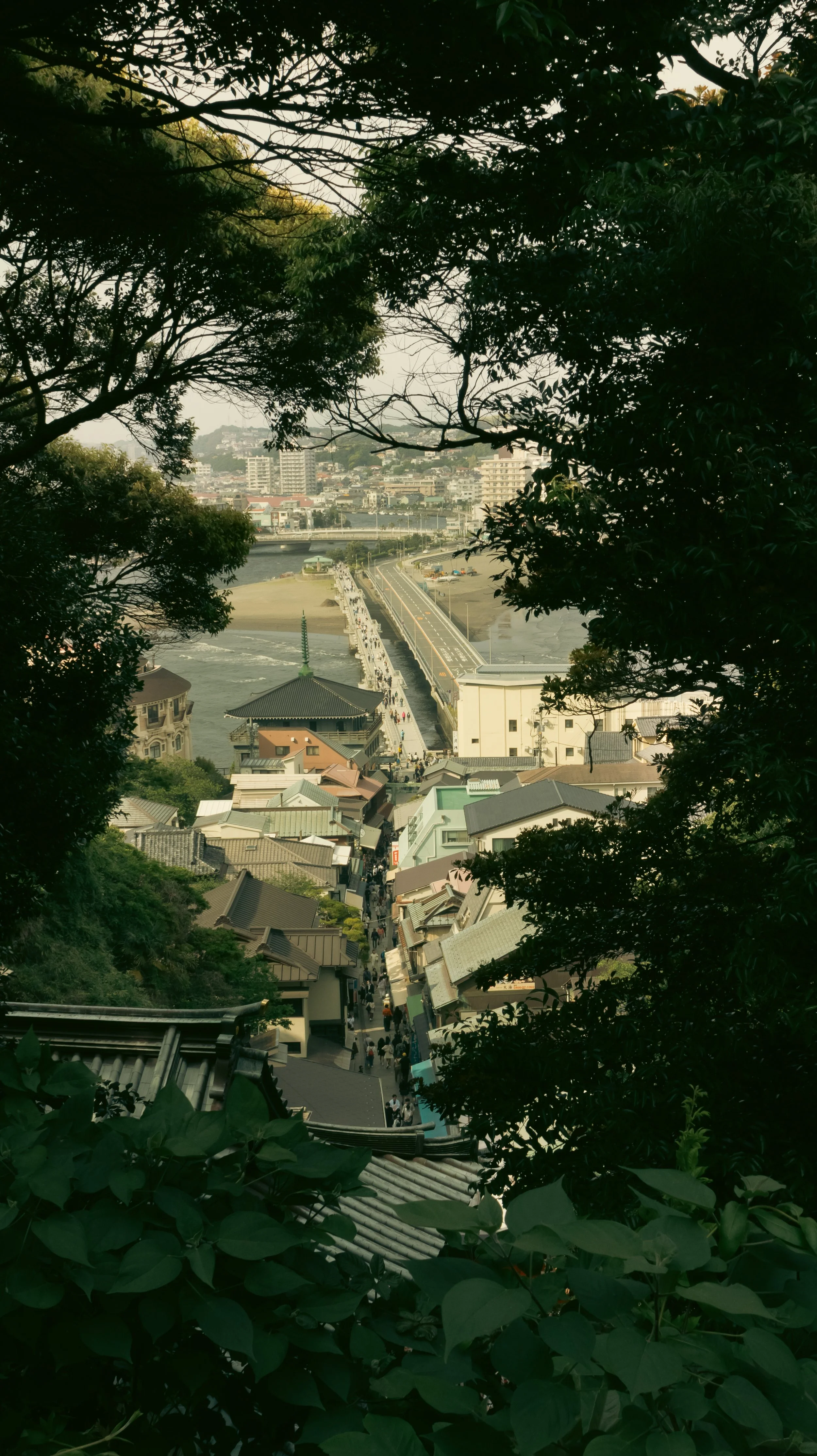 650A2117.jpg