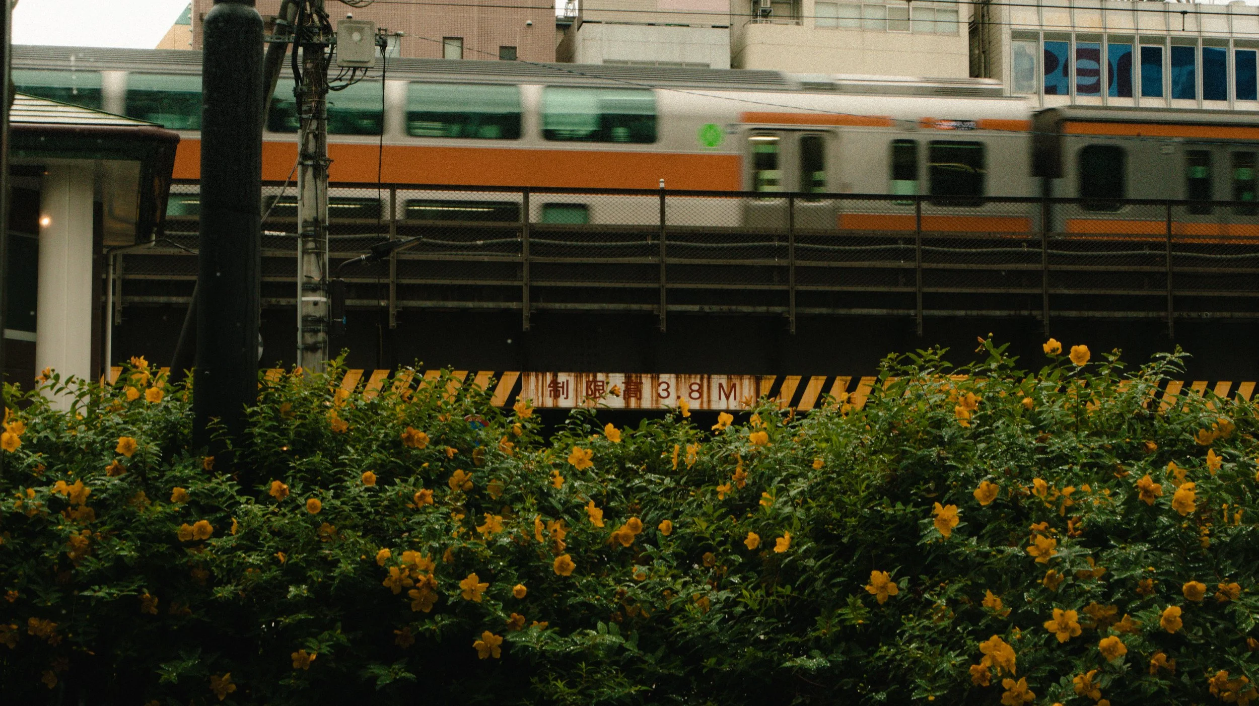 Website Resize 3-3.jpg