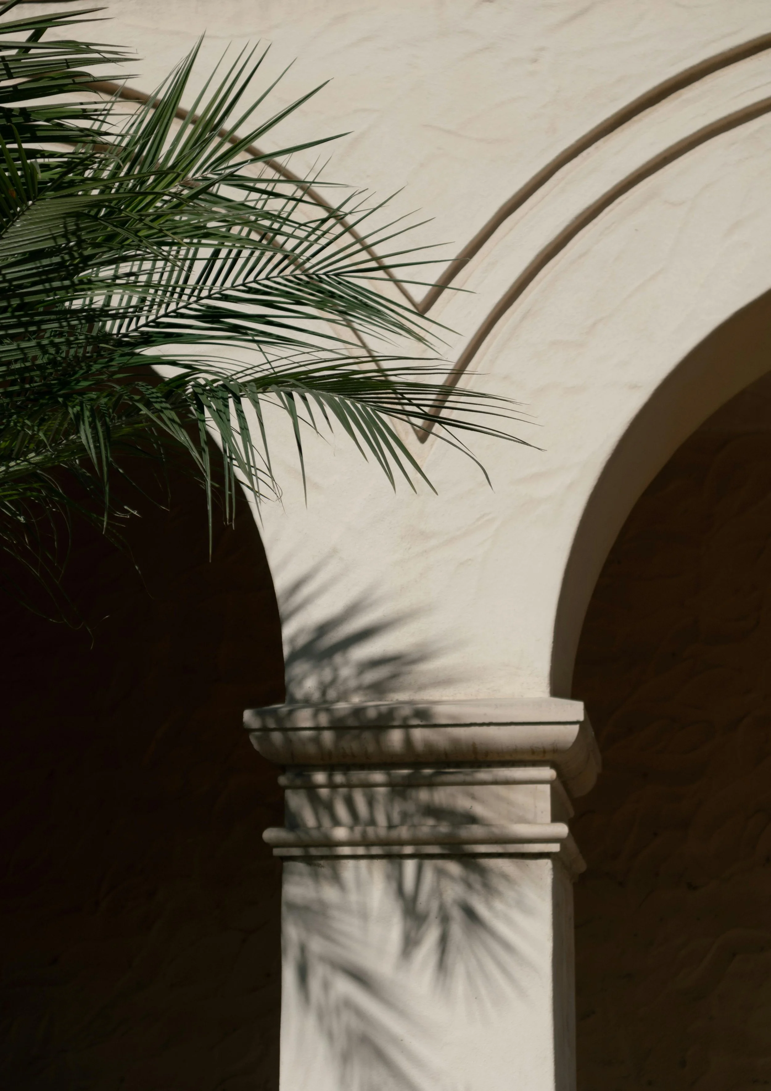 A white marble balustrade with a shadow pattern cast on it, next to a green palm plant, under archways.