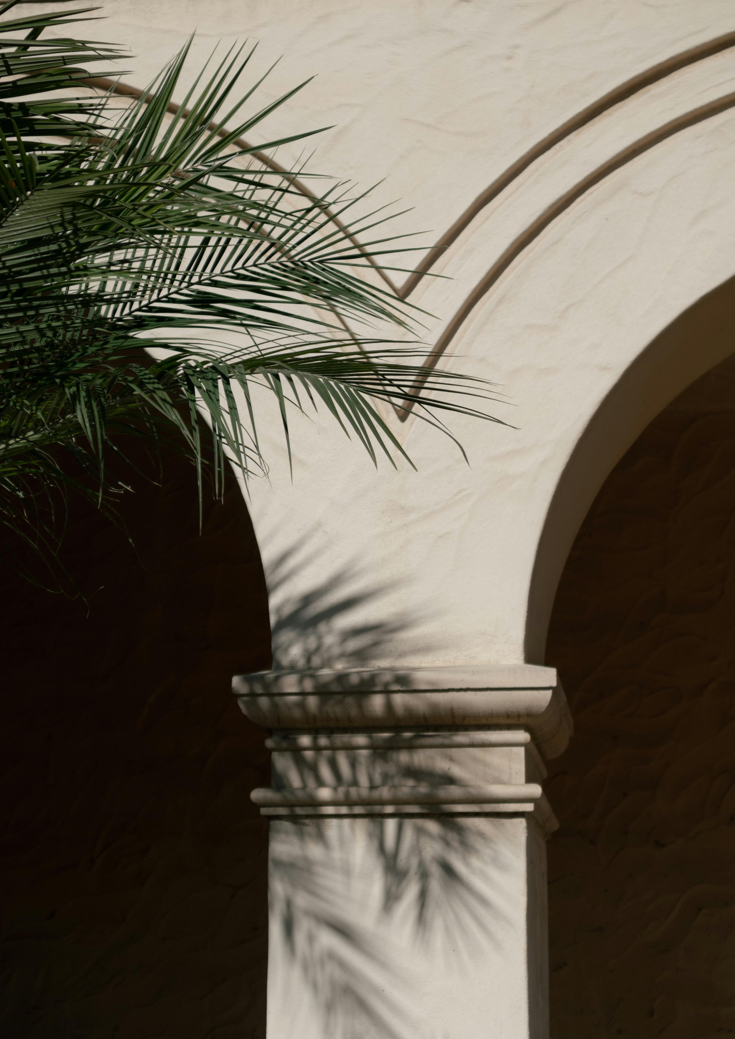 White marble staircase with a carved balustrade and green palm leaves casting shadows on the wall.