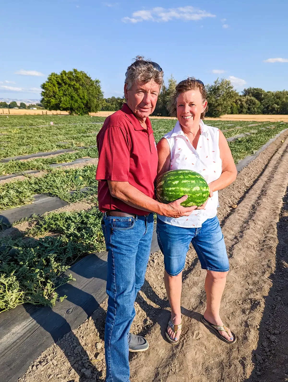Meet the Grower: Moonlight Melons