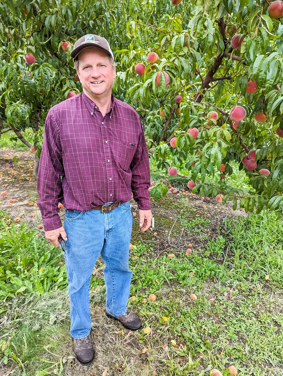 Meet the Grower: Blue Cherry Farms