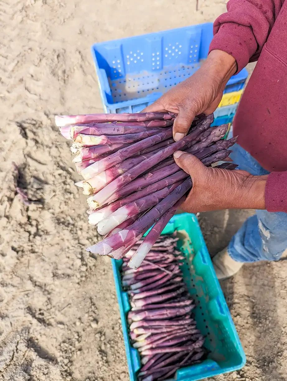 Meet the Grower: Jimenez Farms