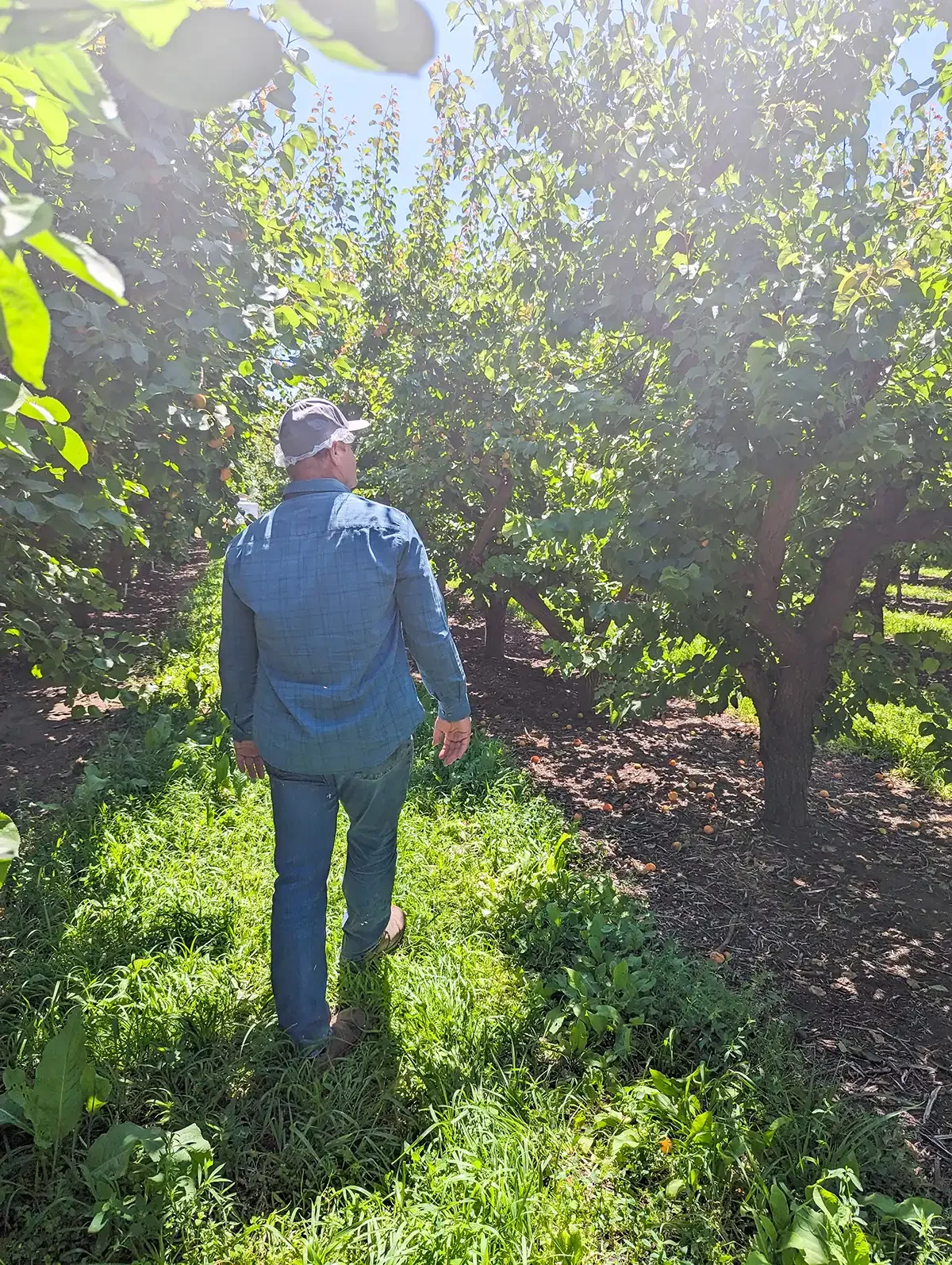 Meet the Grower: Rowley & Hawkins Fruit Farms