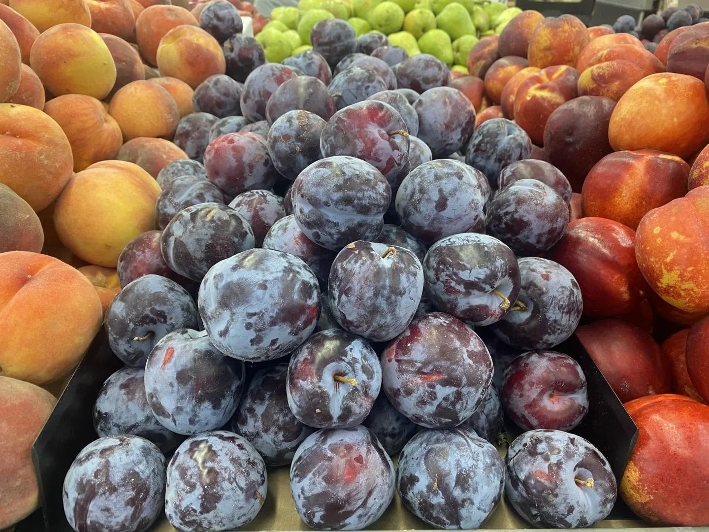 A display of fresh plums and peaches from Andy's Market.