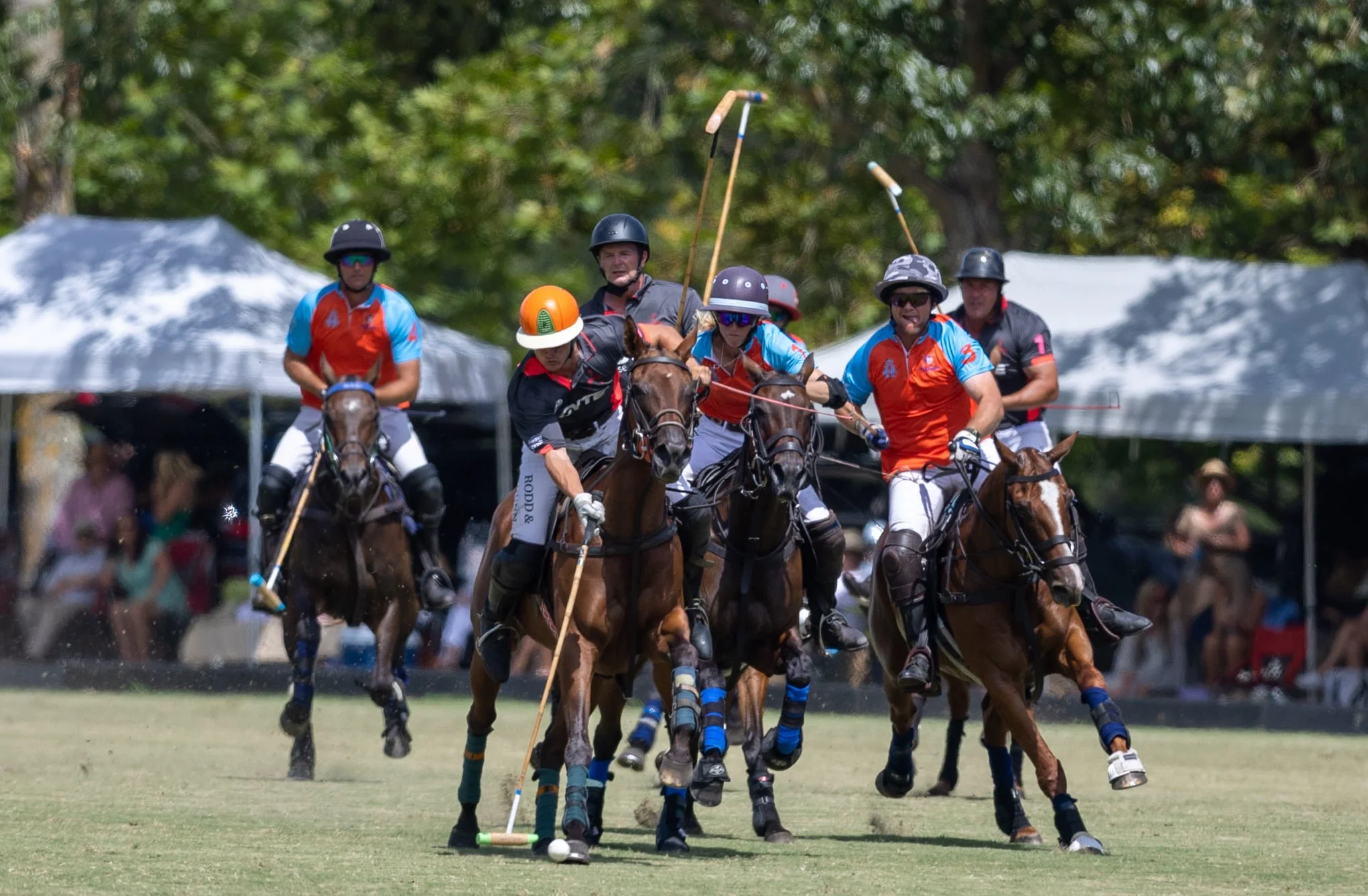 Auckland Polo Club 2.jpg