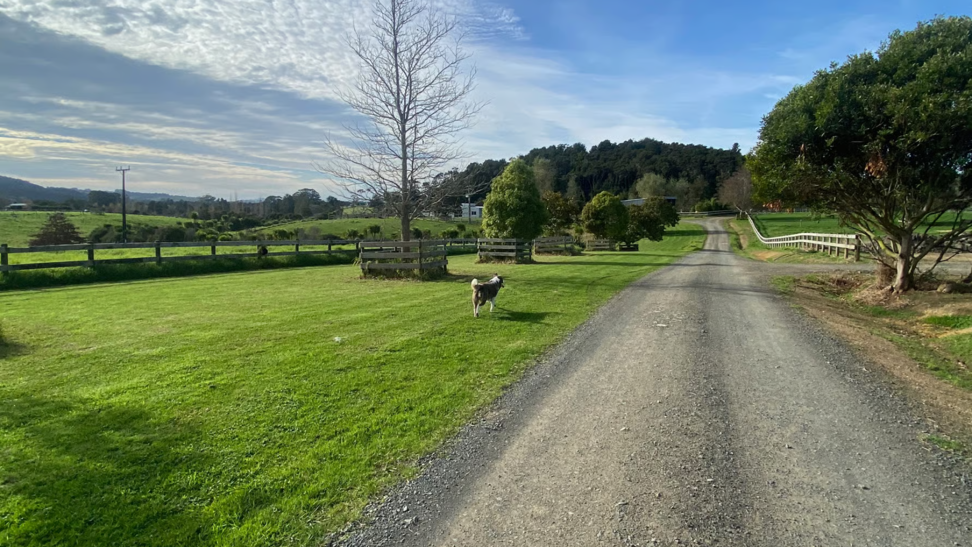Clevedon Equestrian 2.png