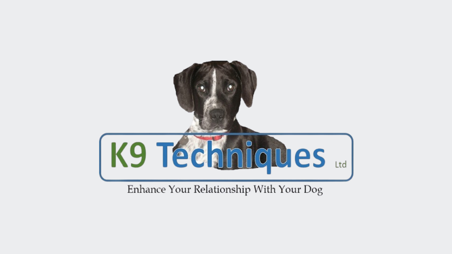 K9 Techniques Banner.png
