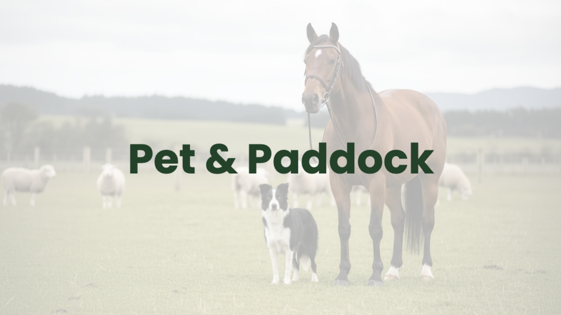 Pet and Paddock Banner.png