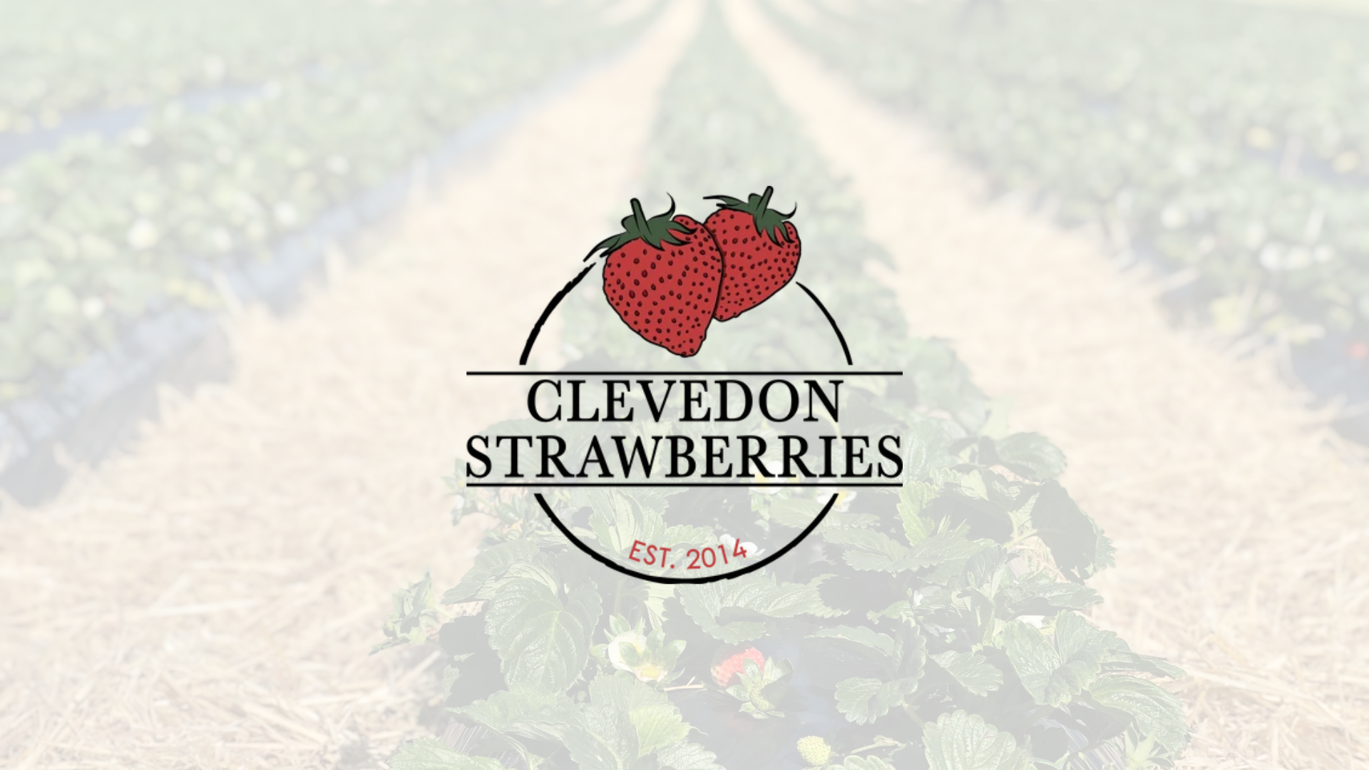 Clevedon Strawberries Banner.png