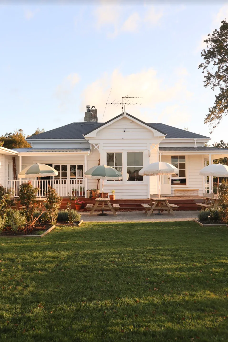 Clevedon_brand_eat_see_taste_45.webp