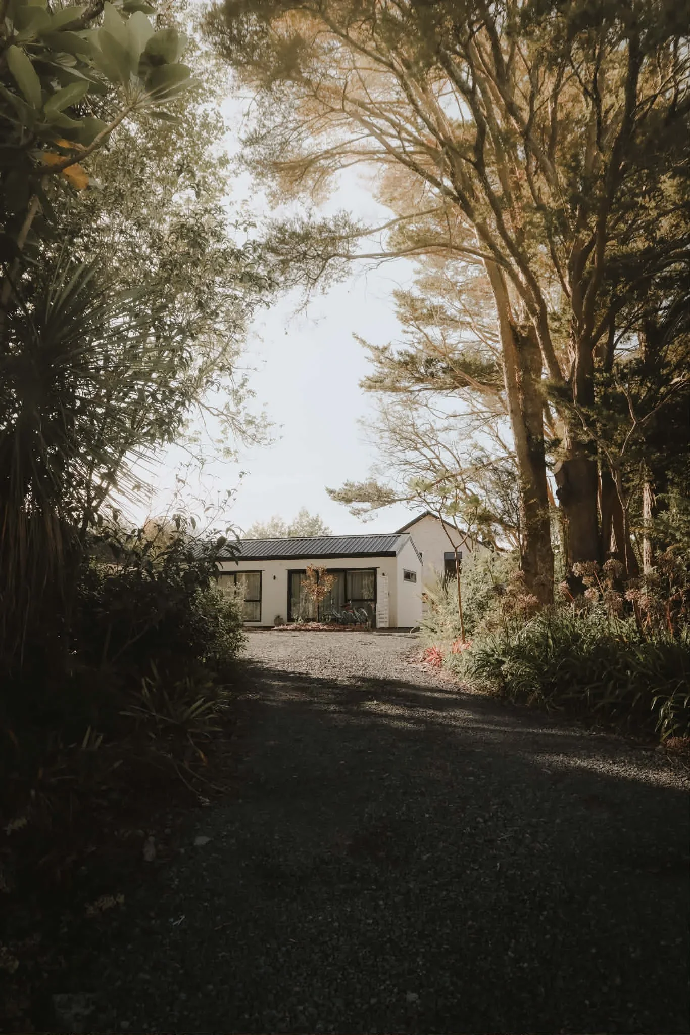 Ruapunawai - Tiny Home Clevedon 3.webp