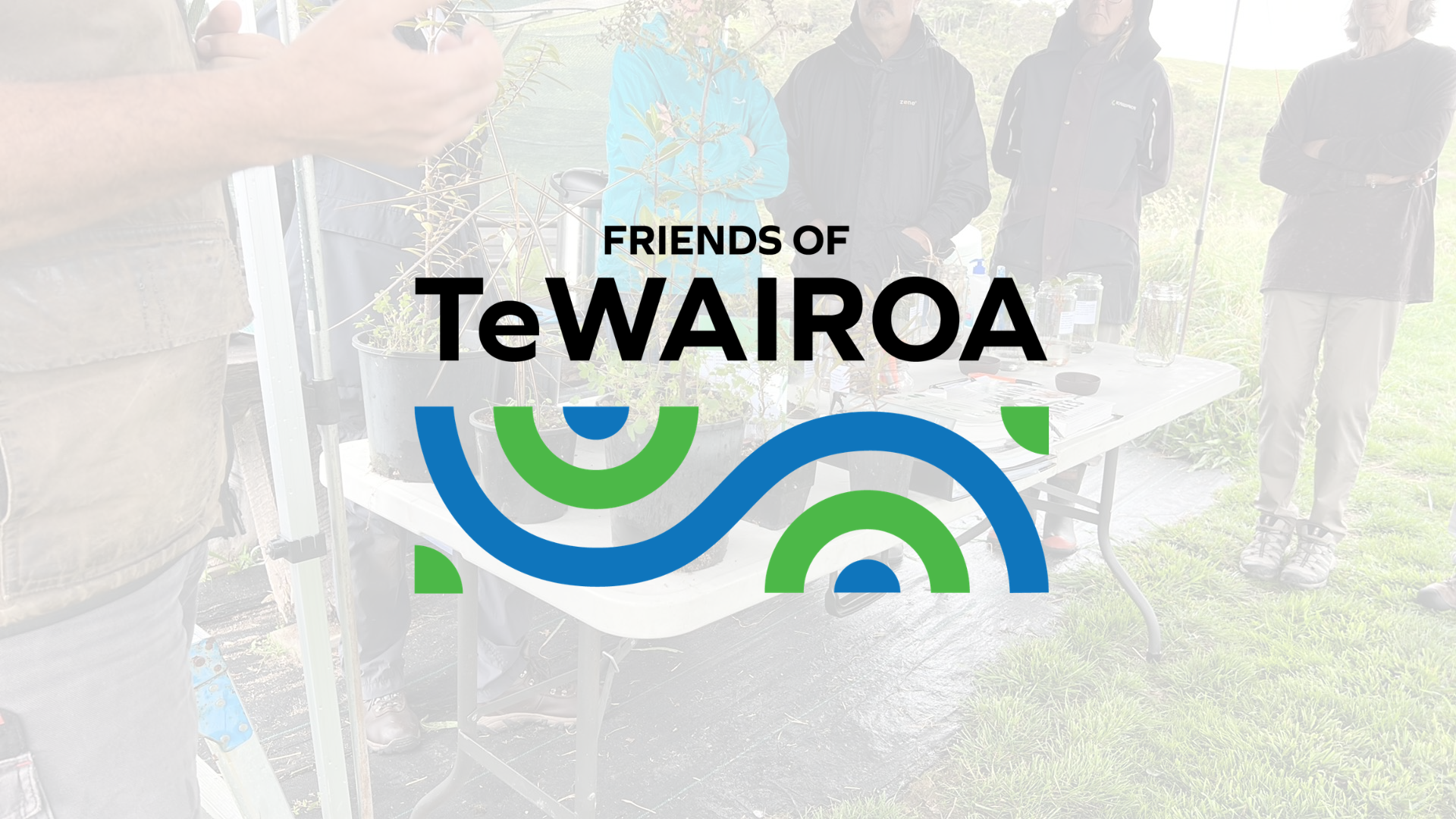Friends of Te Wairoa