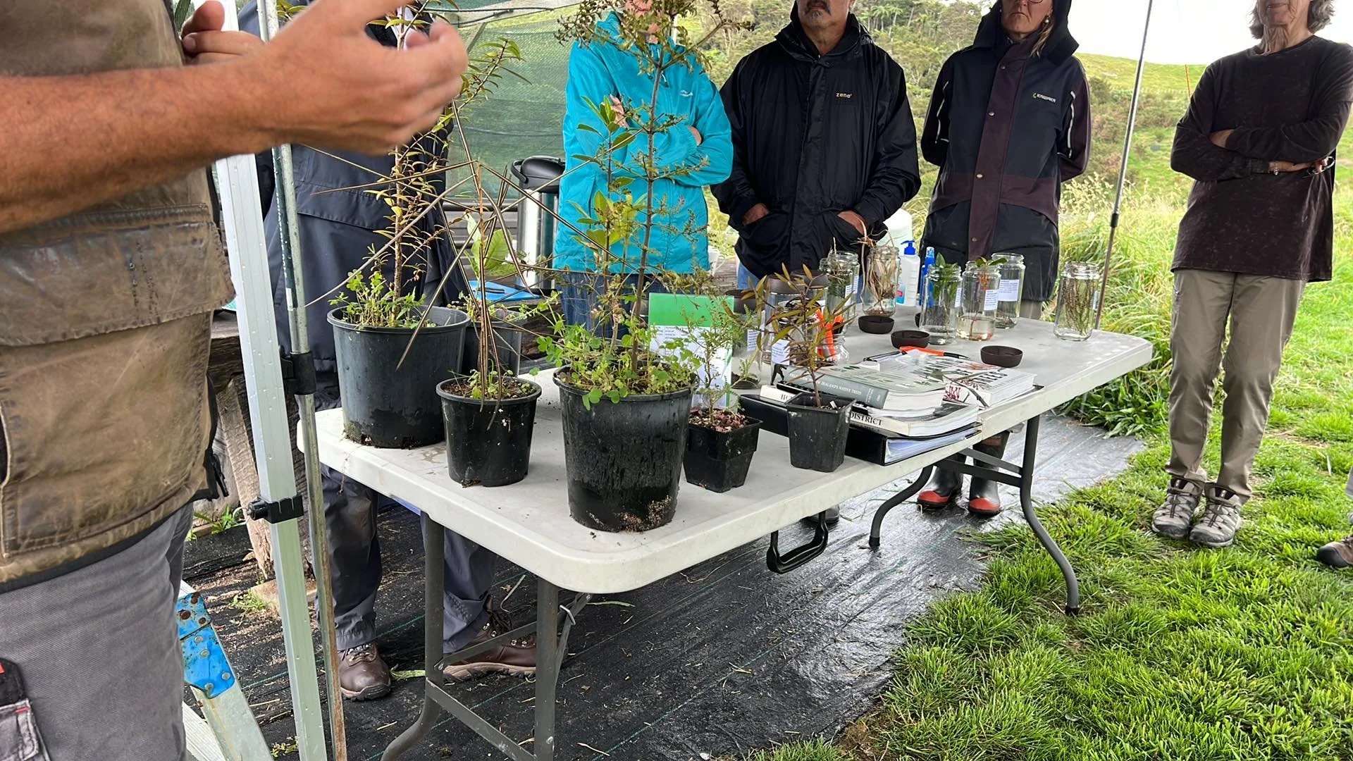 Friends of Te Wairoa 1.jpeg