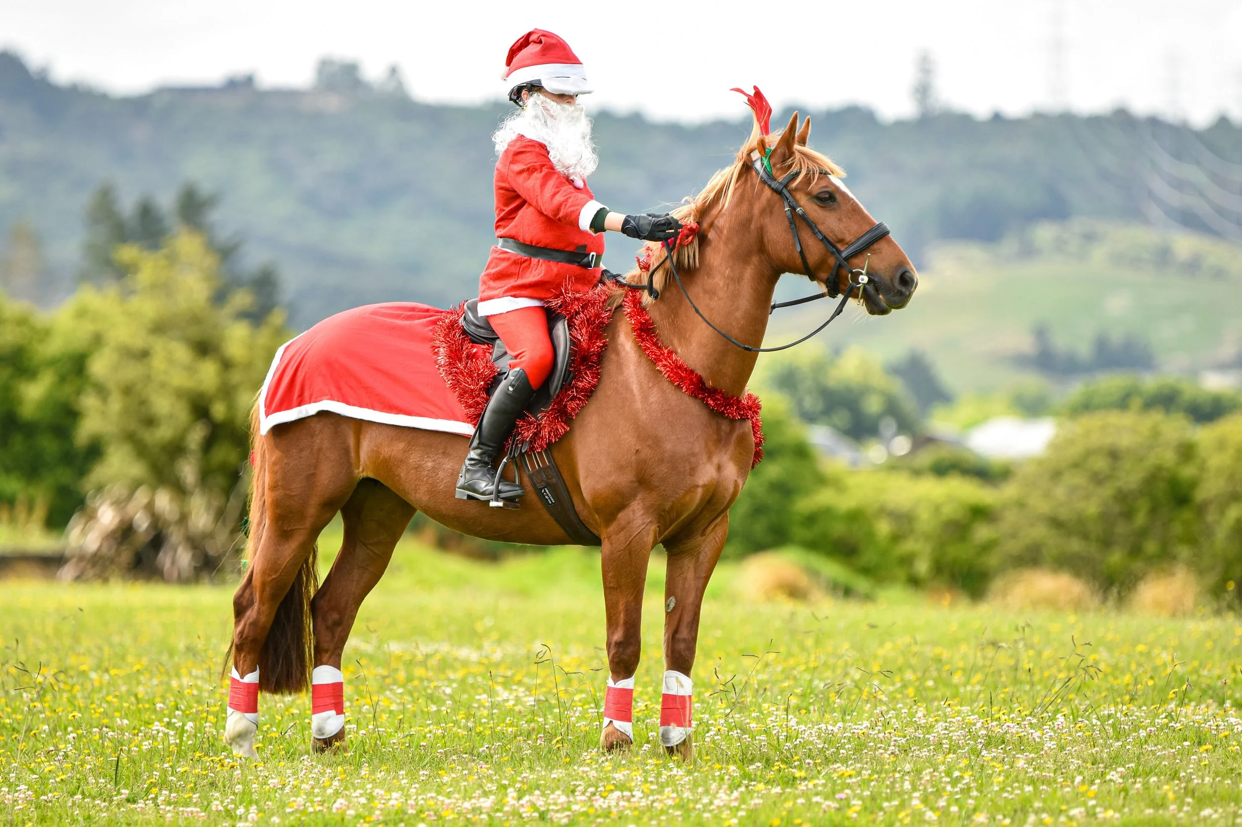 Christmas-Rally.jpg