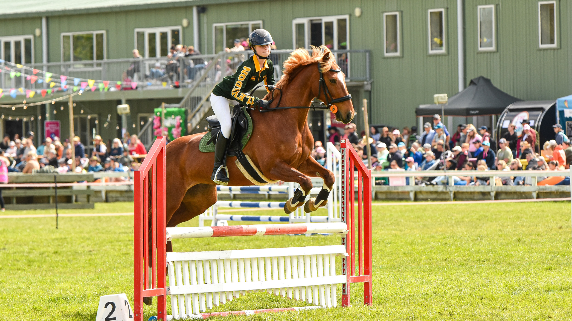 Clevedon Pony Club.png