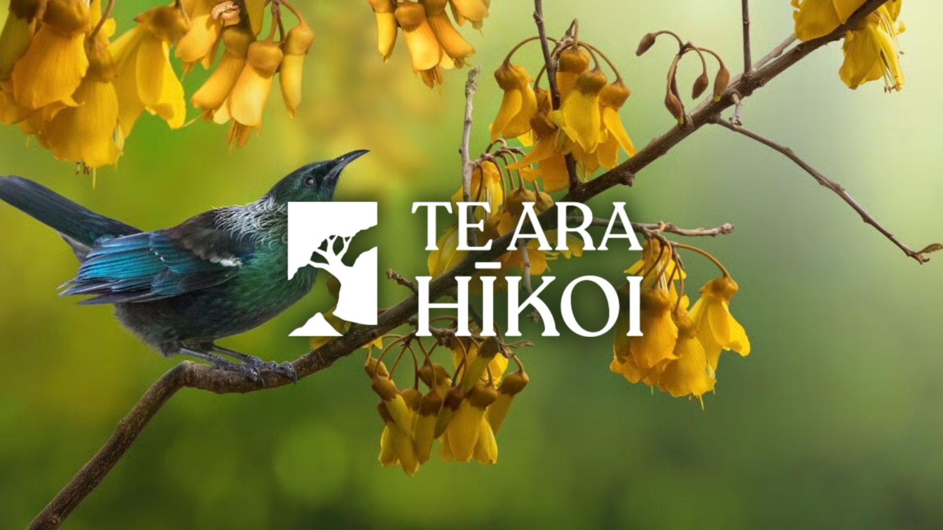 Te Ara Hikoi.png