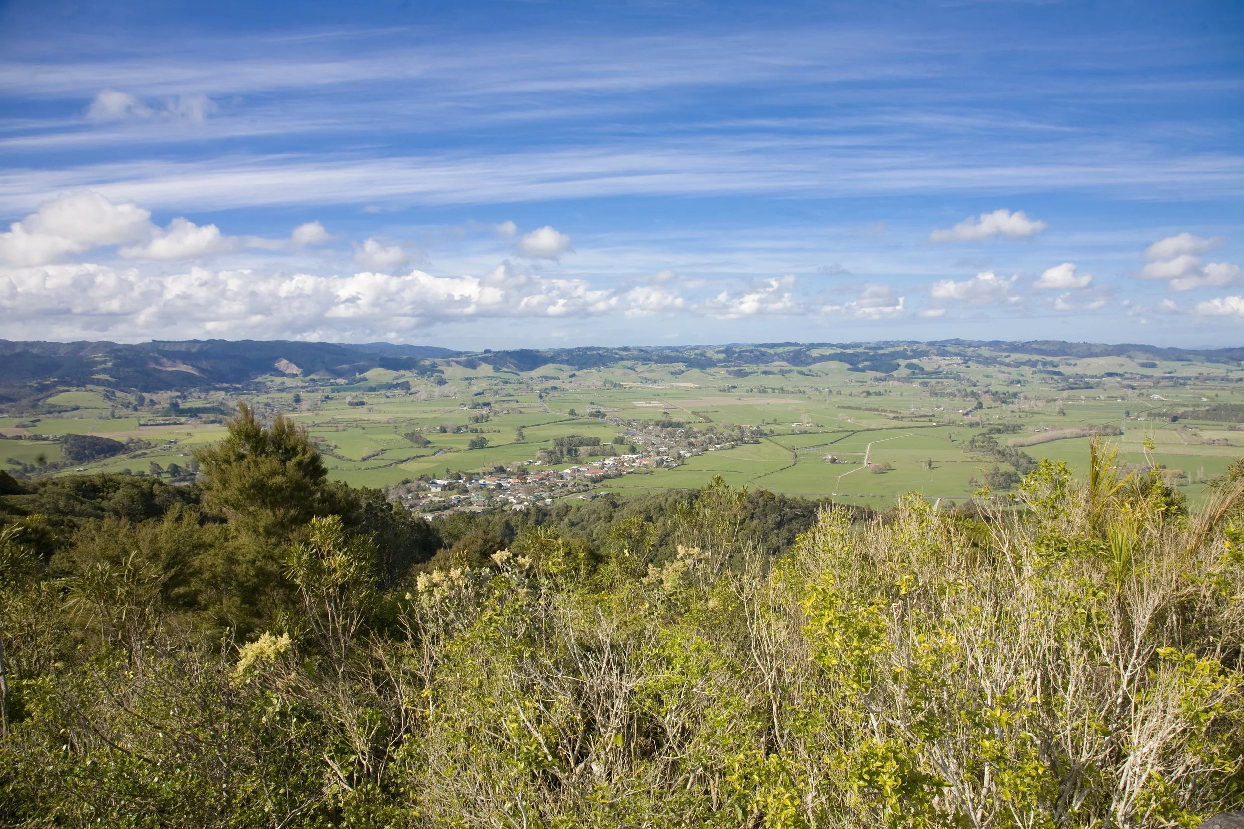 Clevedon_brand_5.jpg