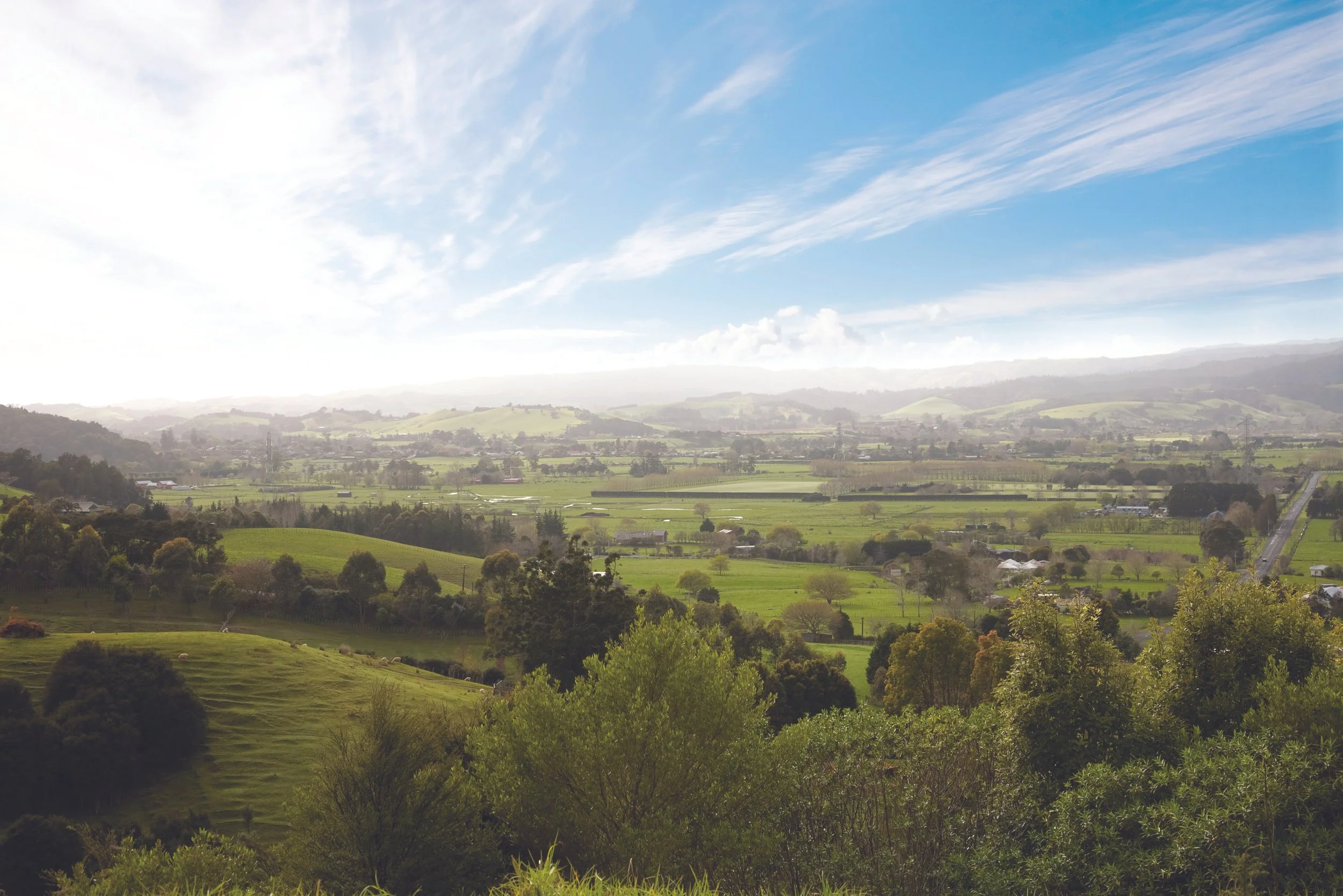 Clevedon_brand_4.jpg