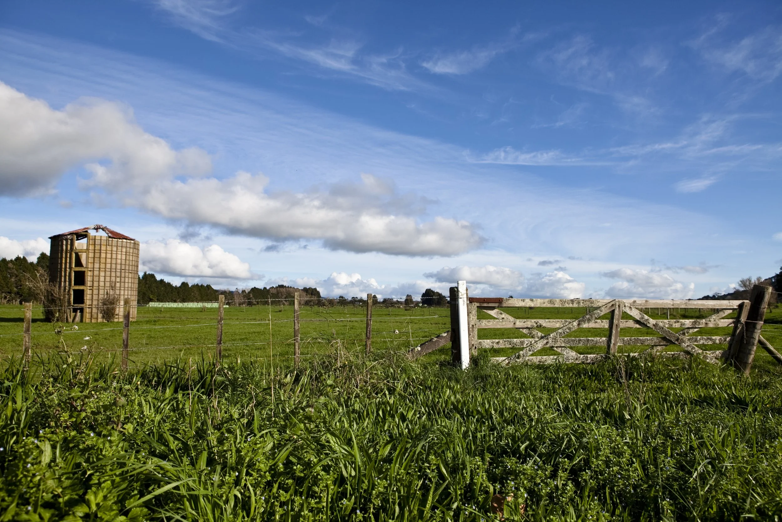 Clevedon_brand_2.jpg
