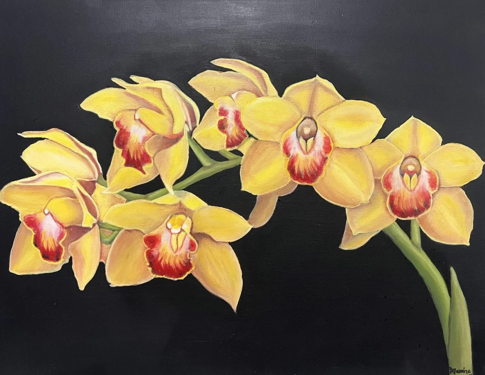ms.gallery-1-1600x1237.jpeg