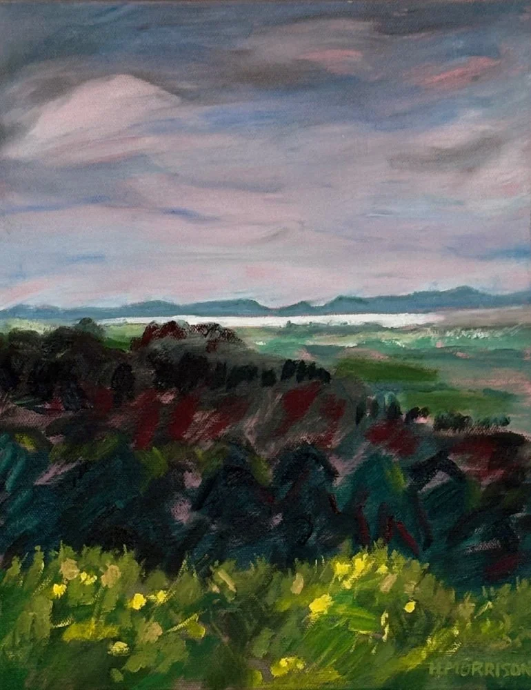 Creightons Road Study  |  Oil on canvas  |  280x350mm  |  2025