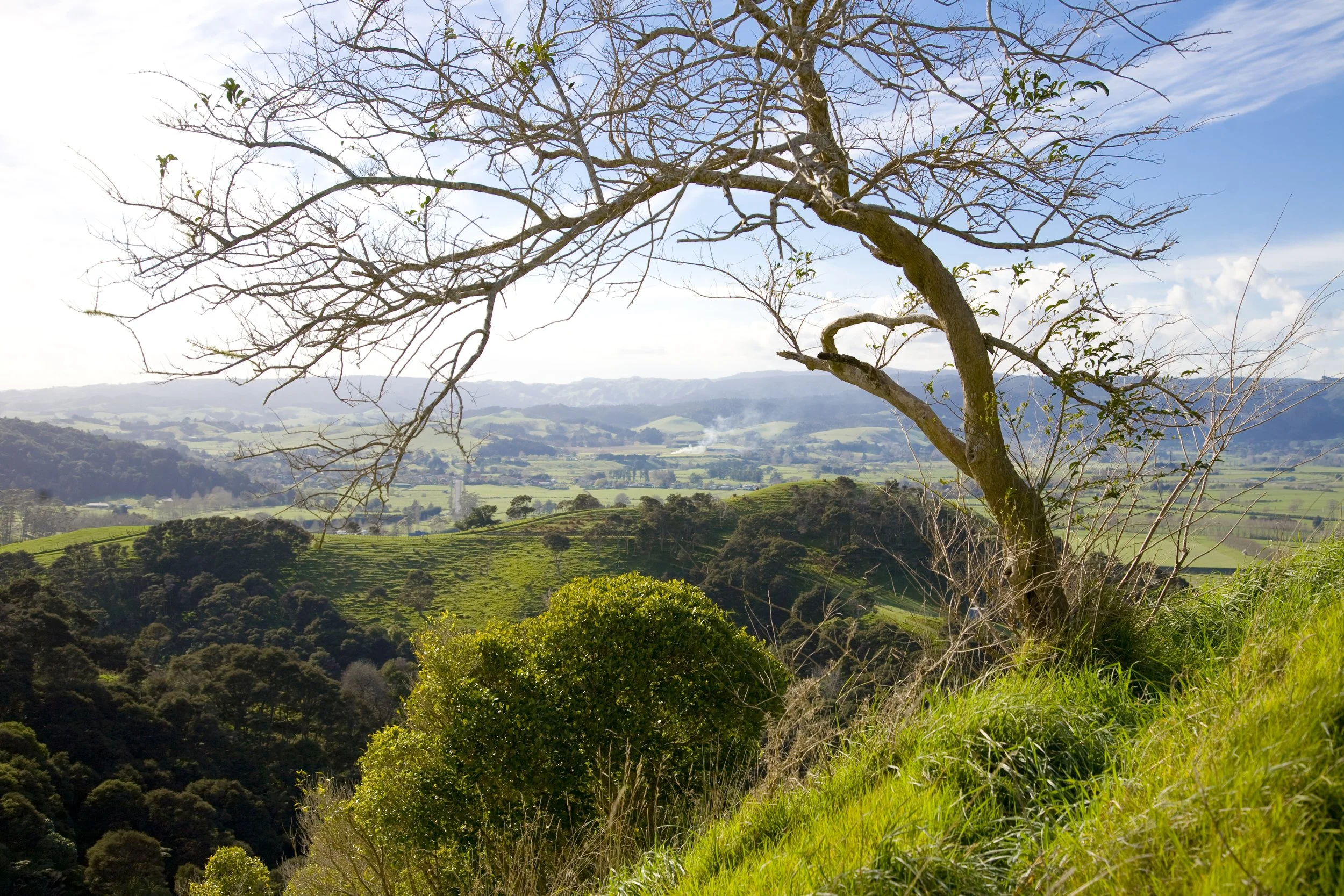 Clevedon_brand_3.jpg