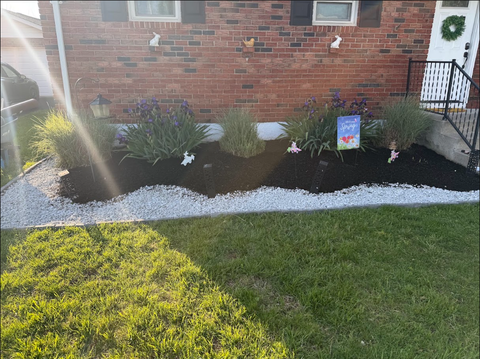 Front yard garden with purple flowers, small decorative signs, white gravel, and a brick house with a white door and black window shutters.