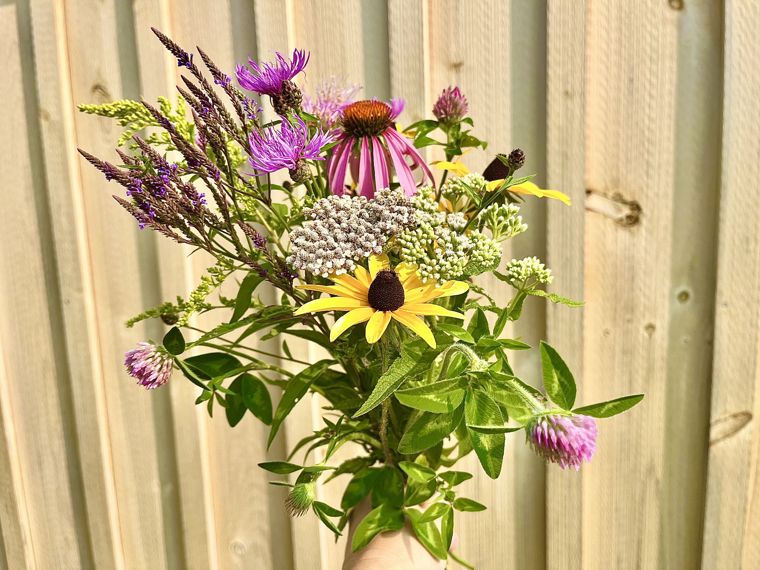 A bouquet of various wildflowers including purple, pink, yellow, and white flowers held against a light wooden fence.