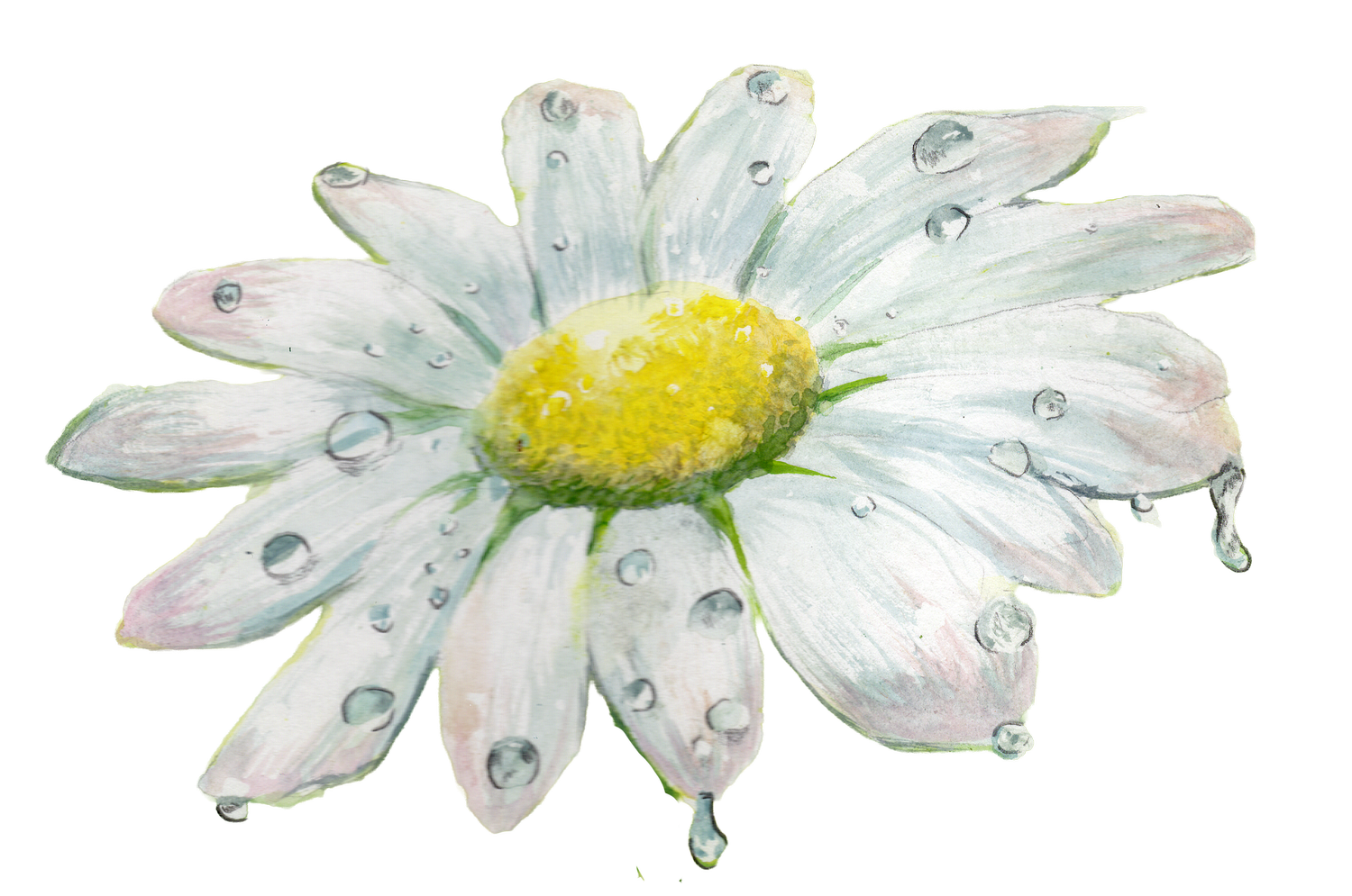 Elizabeth's Book Website