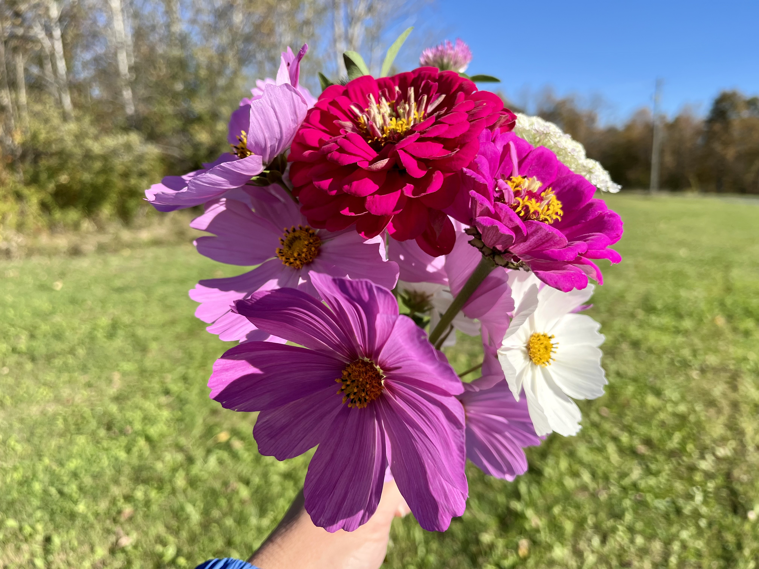 A colorful bouquet of various flowers, including pink, red, and white, being held up outdoors with a grassy field and trees in the background on a sunny day.