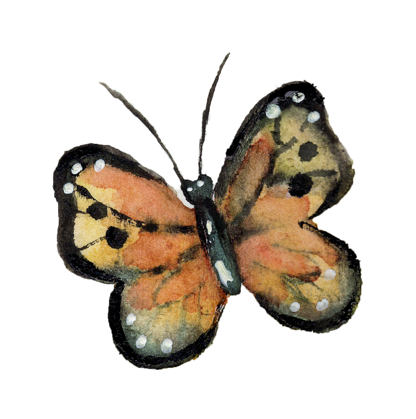 Watercolor painting of a butterfly with orange, black, yellow, and white wings.
