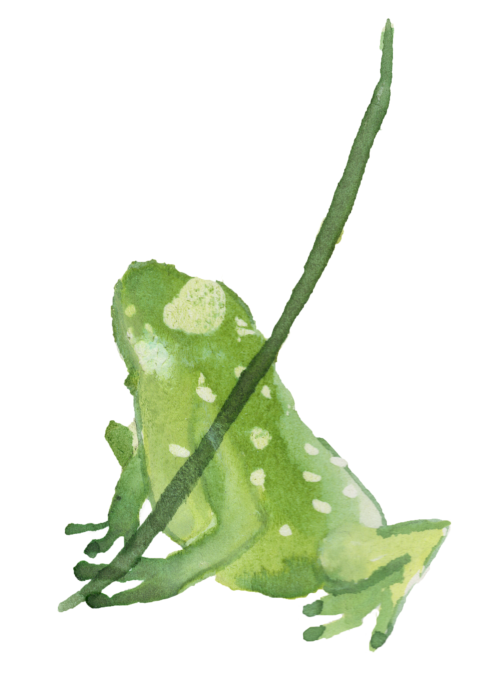 Watercolor illustration of a green chameleon with white spots, sitting on a branch with a black background.