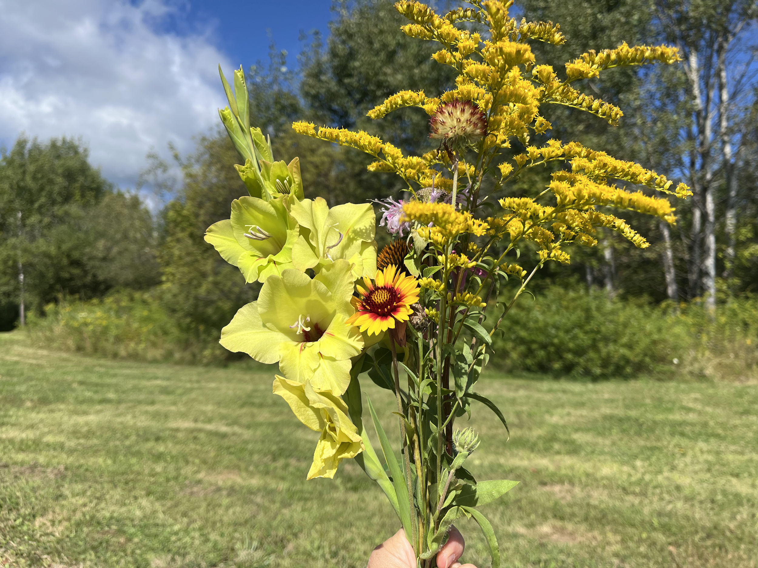 A bouquet of various wildflowers, including yellow, pink, red, and orange blossoms, held outdoors against a background of green trees and a partly cloudy blue sky.