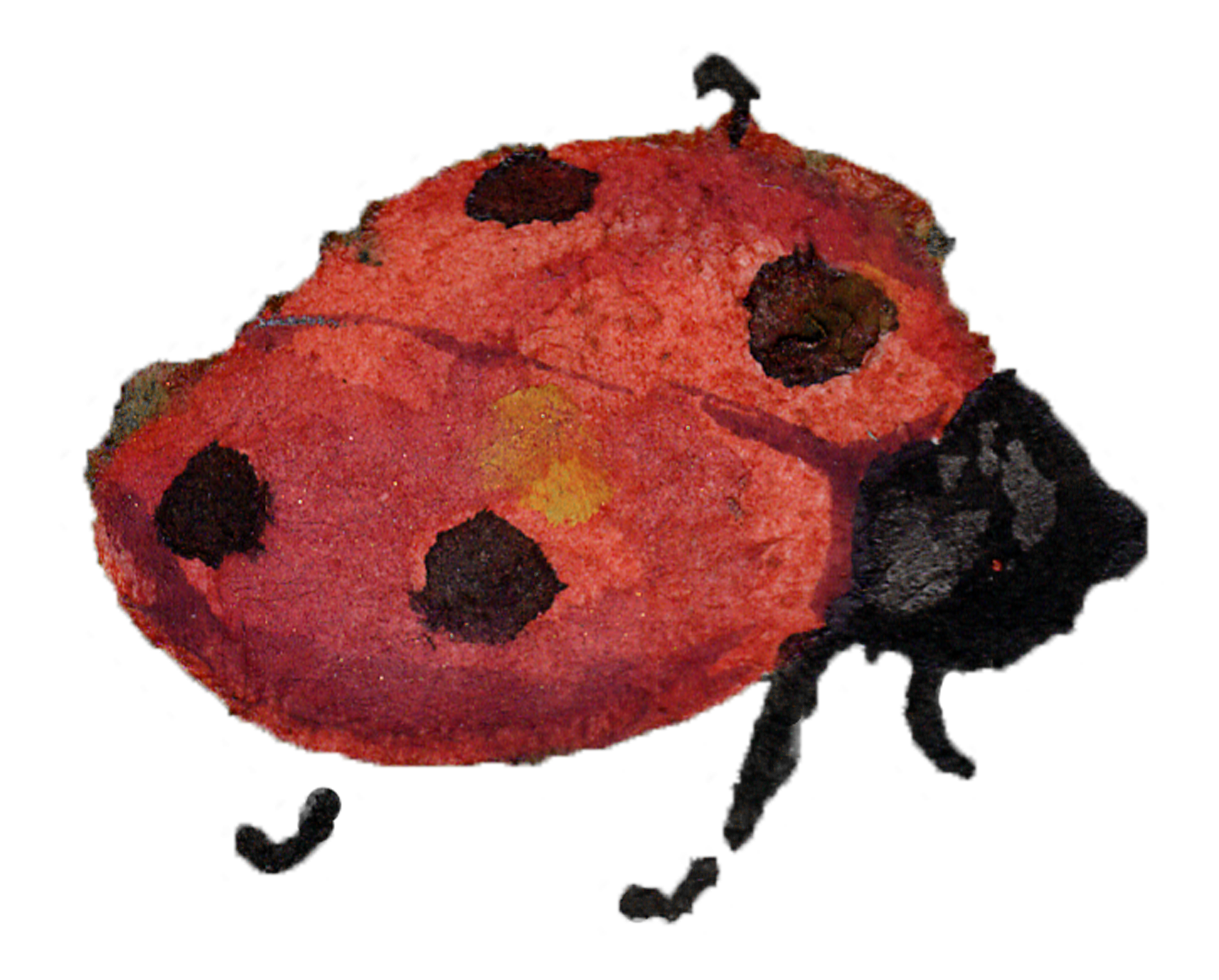 A playful digital illustration of a ladybug with a red, dotted shell and black spots, with cartoonish black legs and antennae.