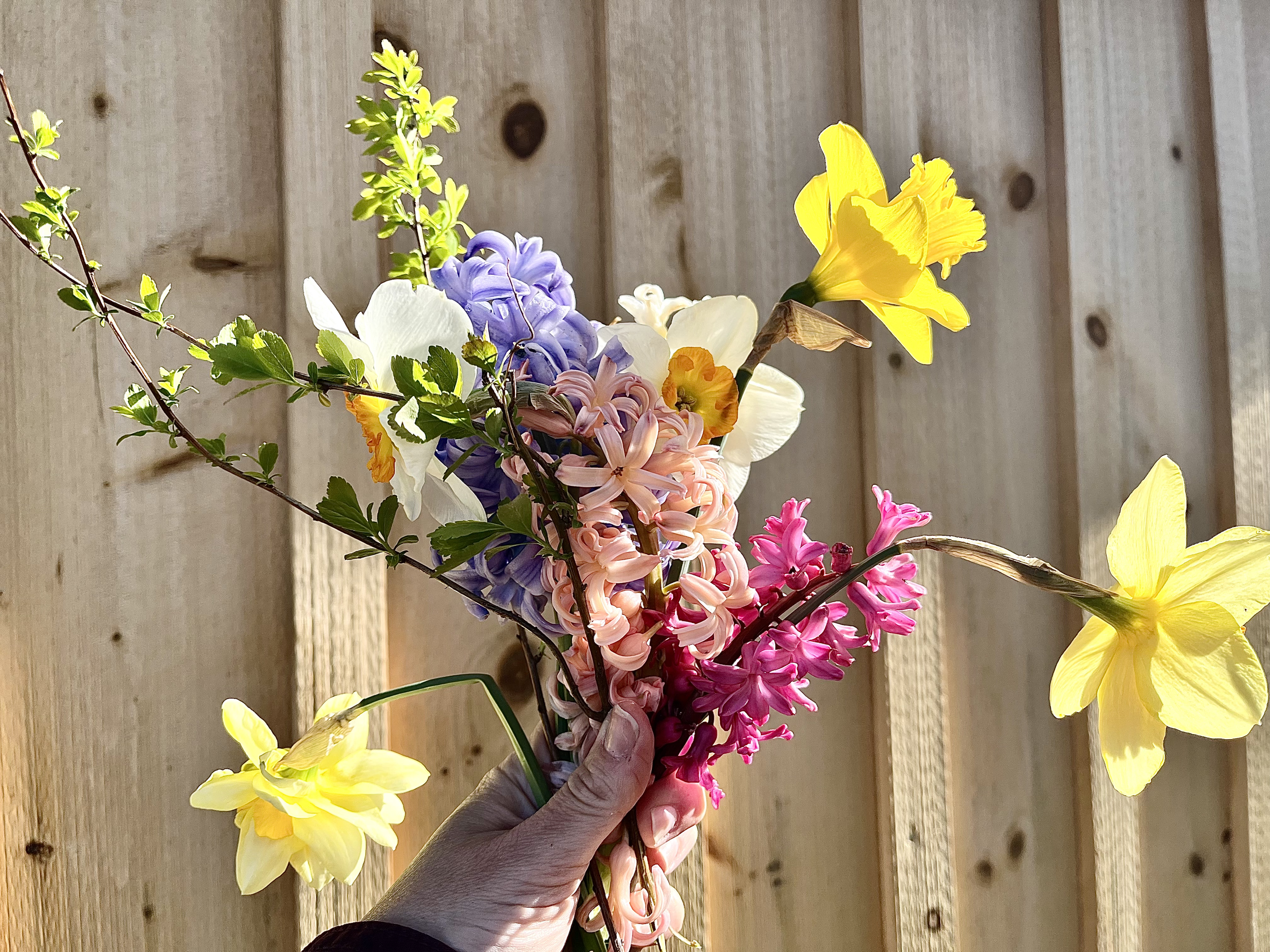 A hand holding a bouquet of colorful flowers, including yellow daffodils, pink hyacinths, purple hydrangeas, white orchids, and greenery, against a wooden fence background.